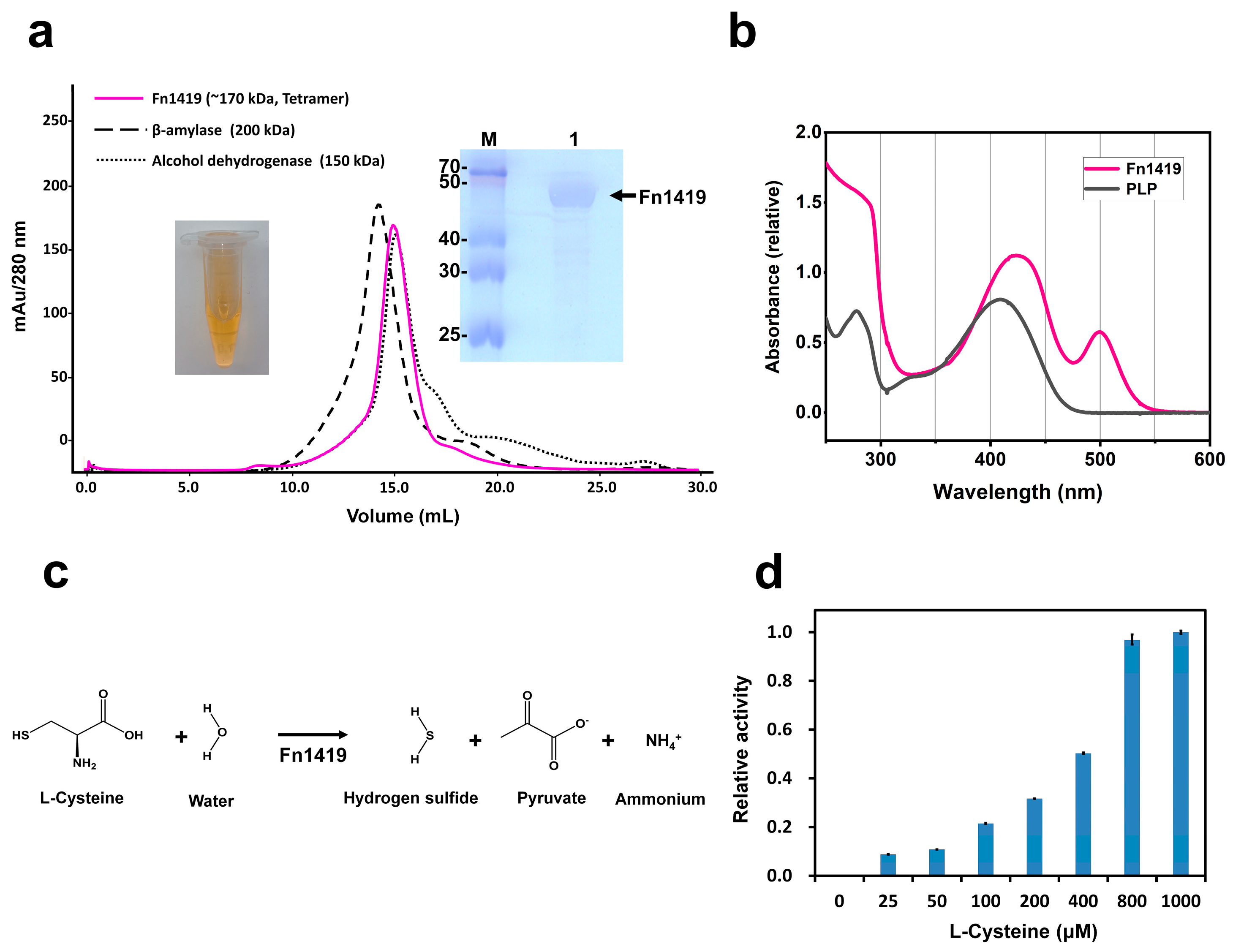 Ijms 24 01651 g001 Ijms 24 01651 g001