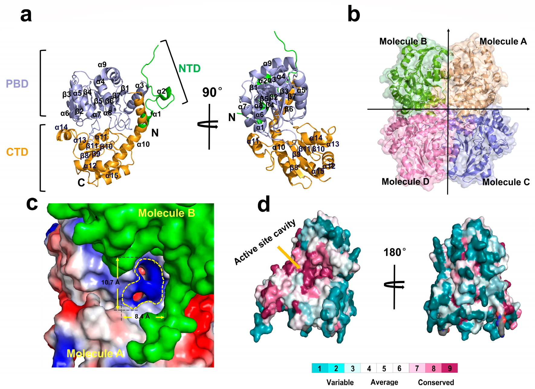 Ijms 24 01651 g002 Ijms 24 01651 g002