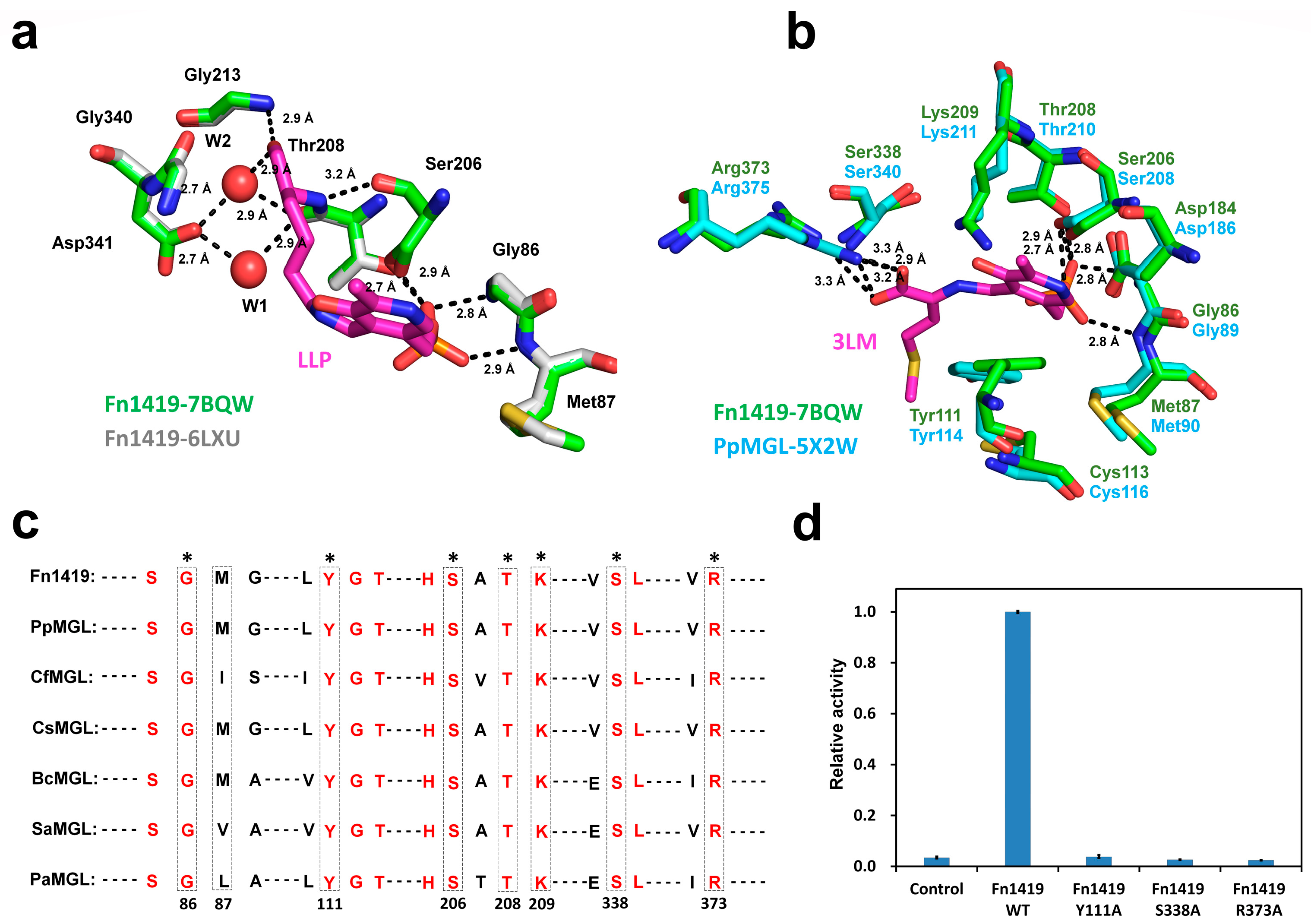 Ijms 24 01651 g003 Ijms 24 01651 g003