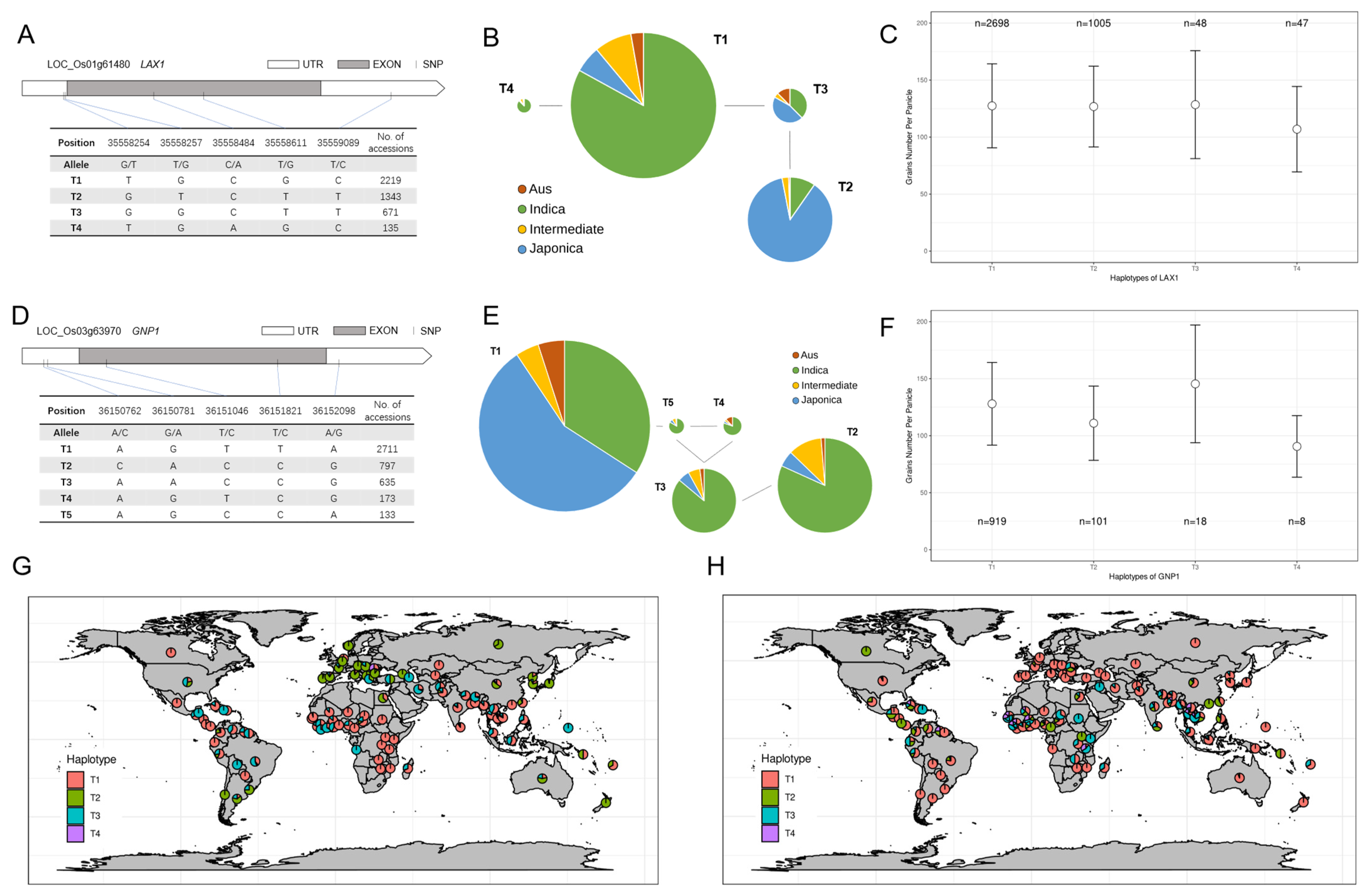 Ijms 24 01653 g003 Ijms 24 01653 g003