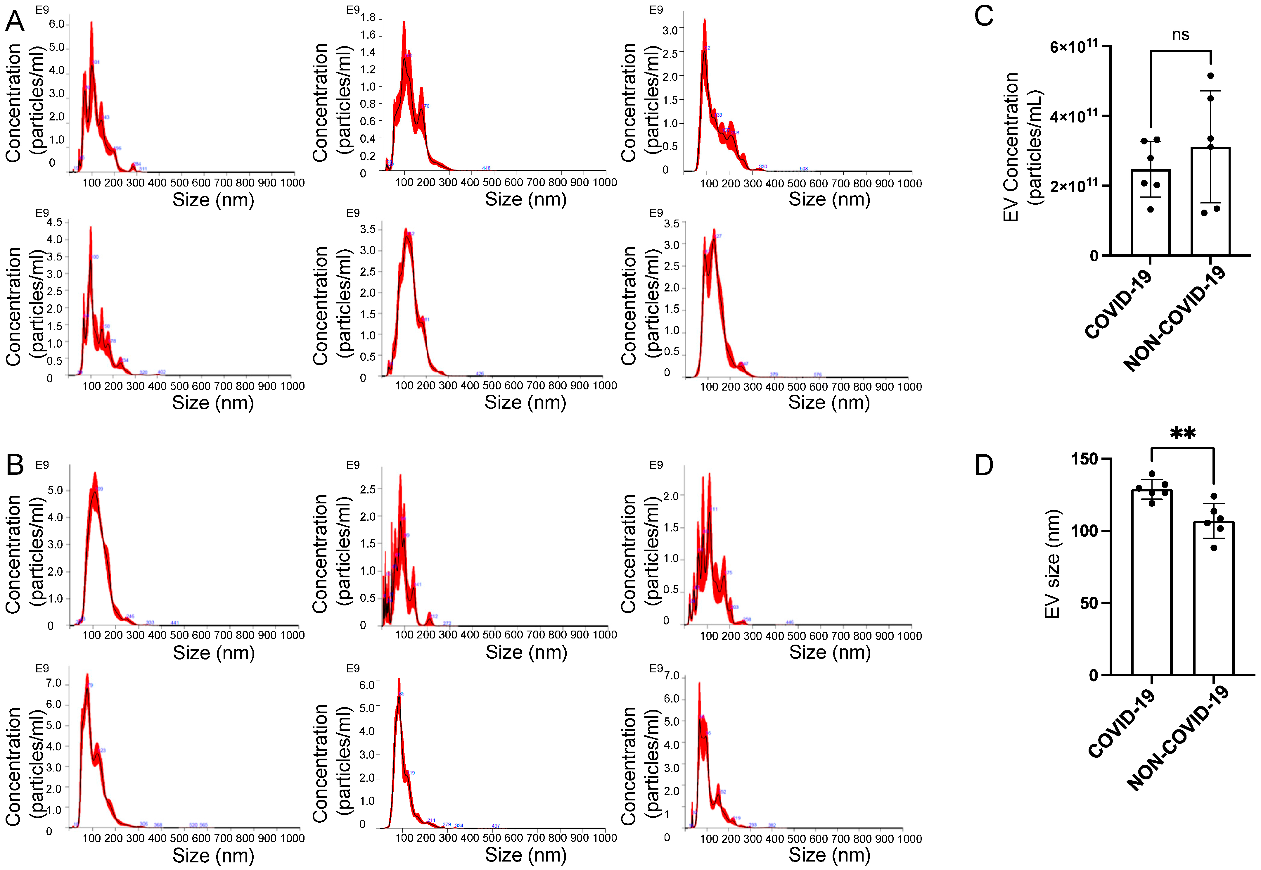 Ijms 24 01654 g002 Ijms 24 01654 g002