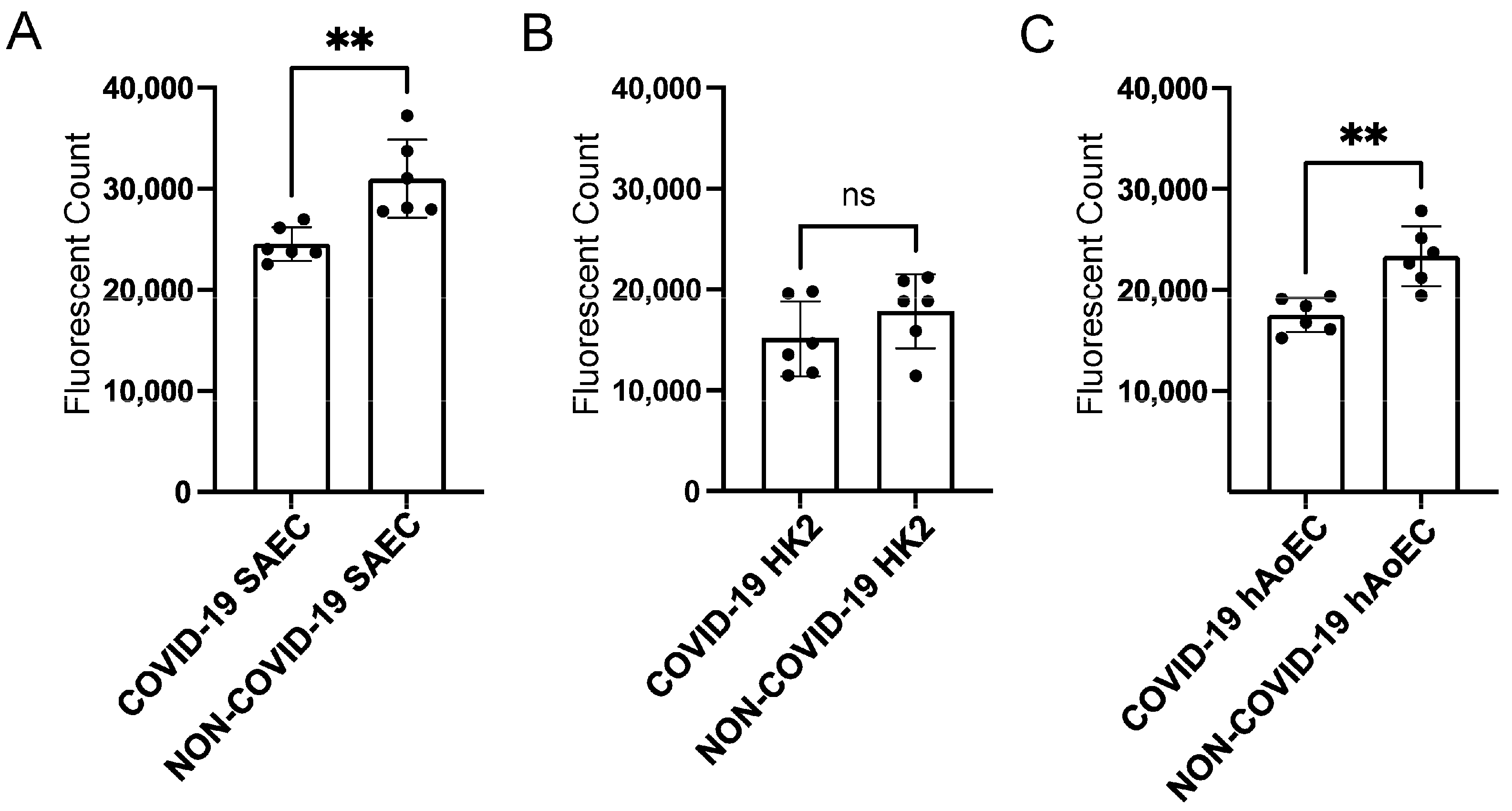 Ijms 24 01654 g006 Ijms 24 01654 g006