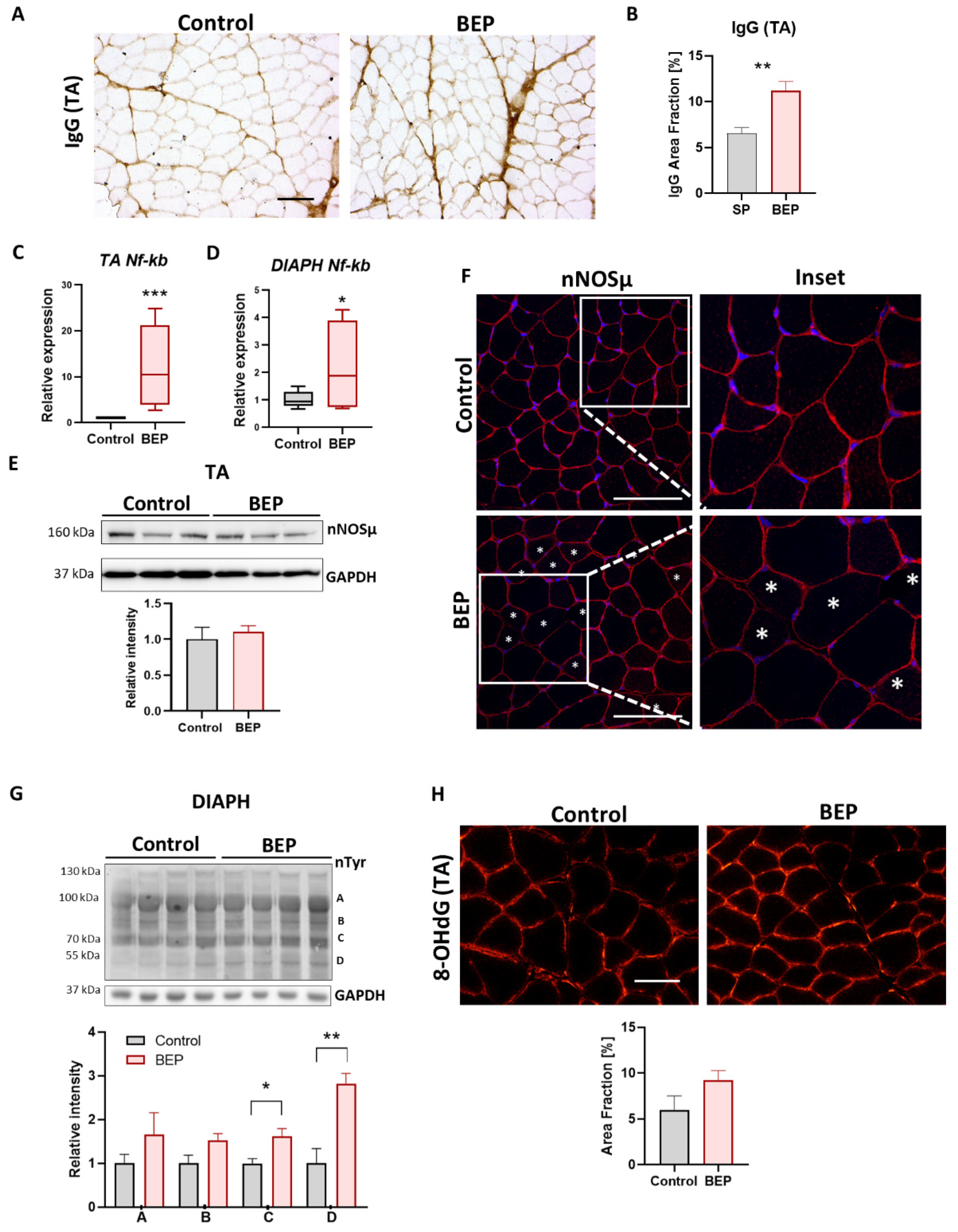 Ijms 24 01655 g005 Ijms 24 01655 g005