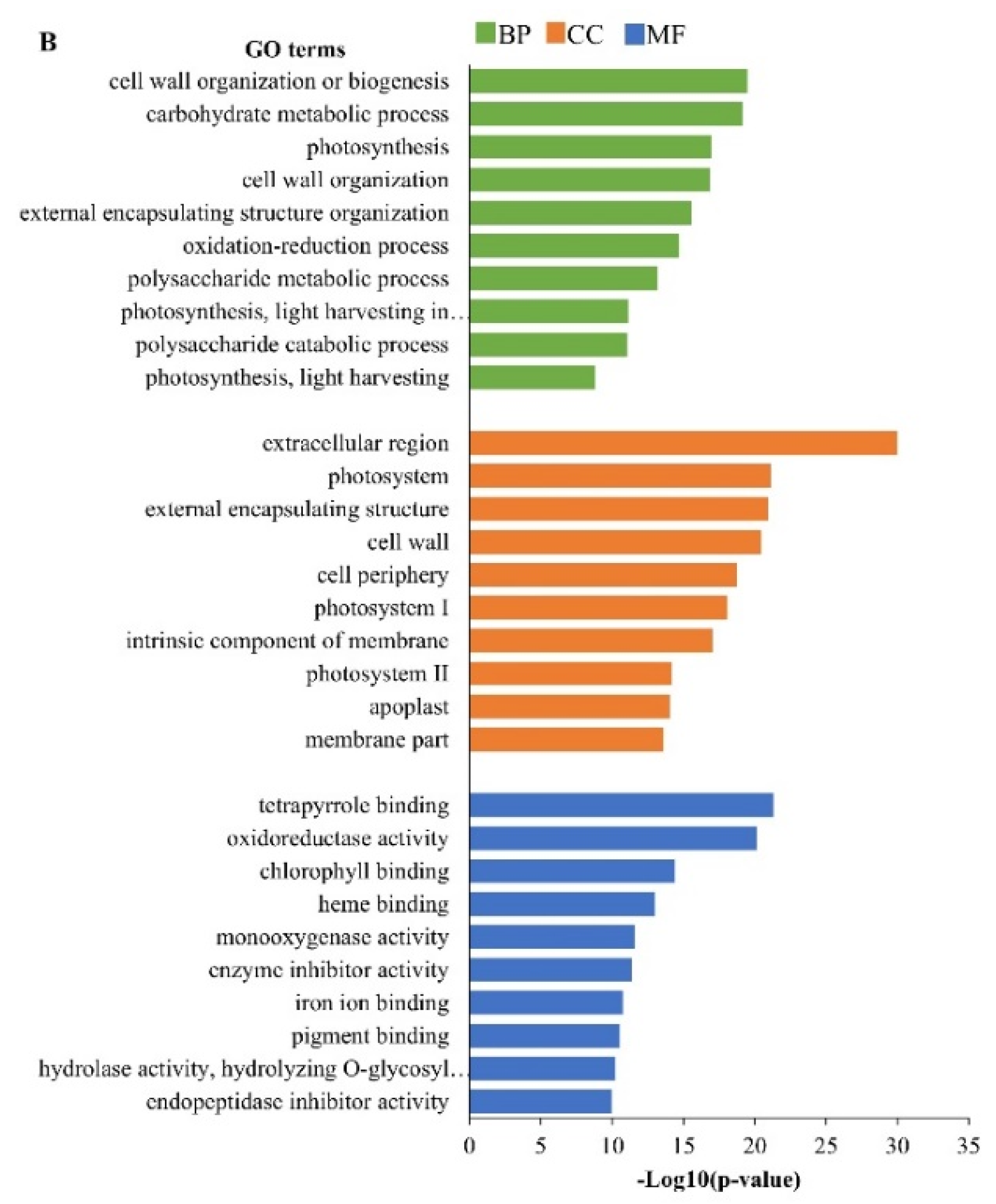 Ijms 24 01657 g003b Ijms 24 01657 g003b