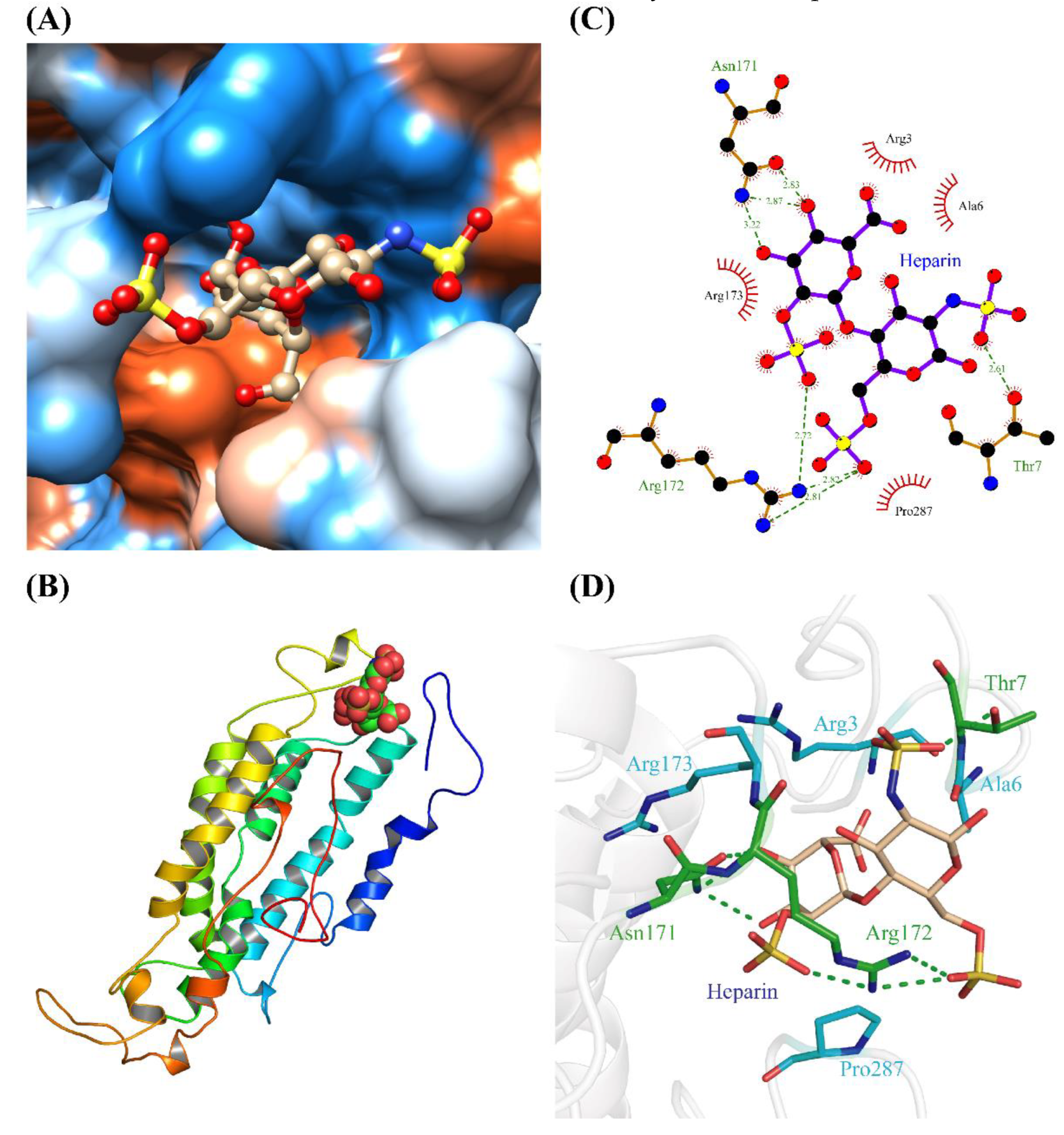 Ijms 24 01664 g004 Ijms 24 01664 g004