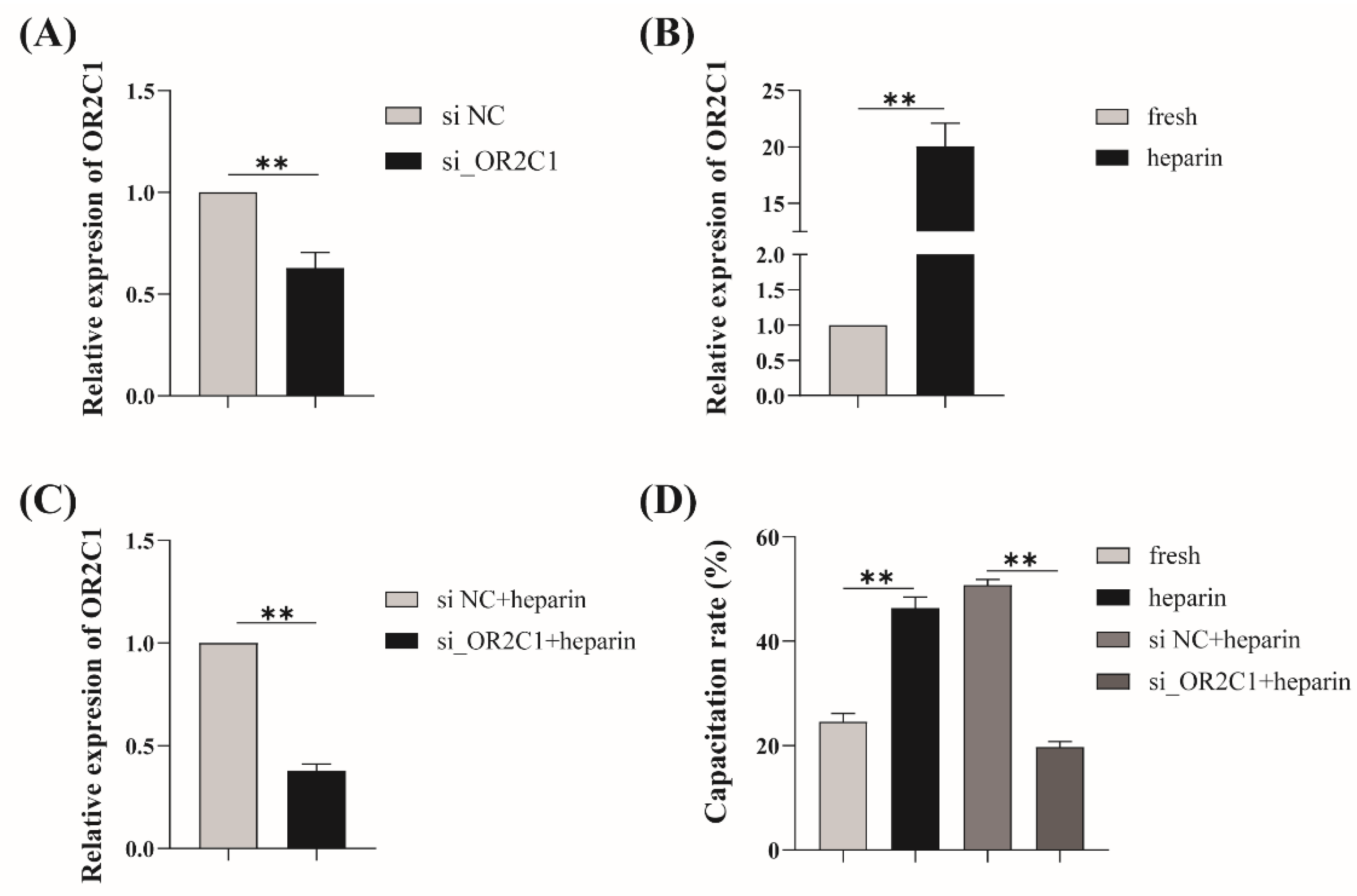 Ijms 24 01664 g006 Ijms 24 01664 g006