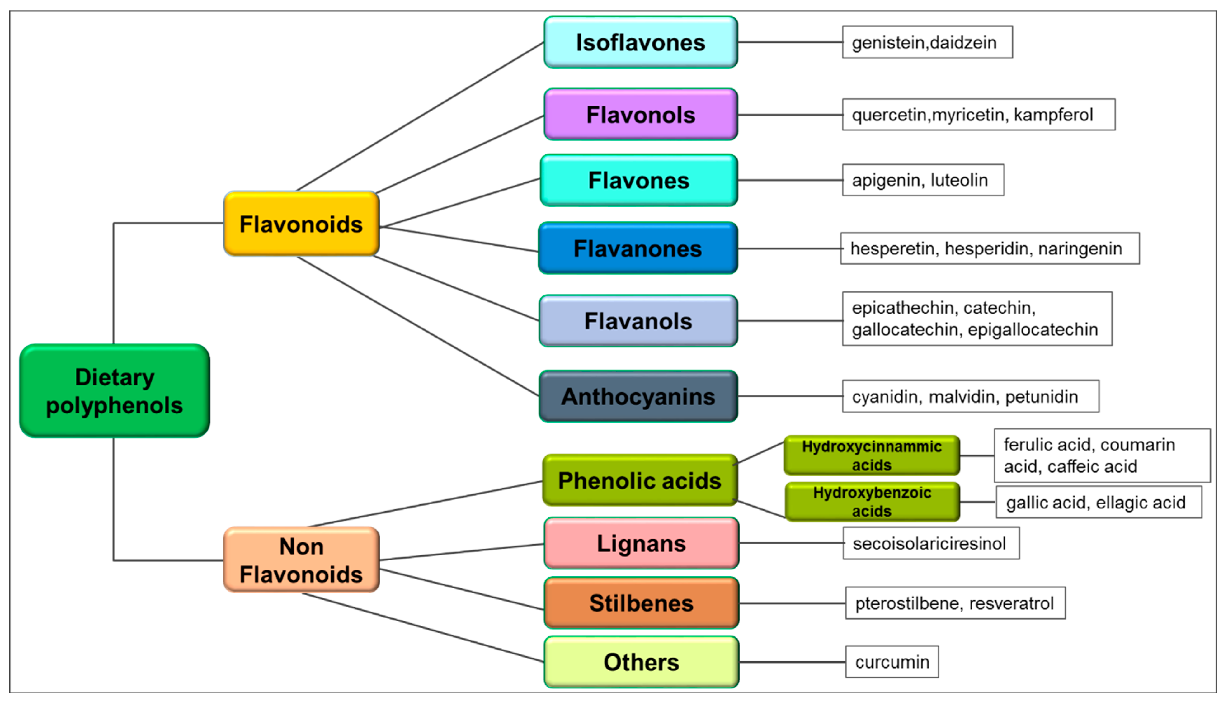 The Involvement of Natural Polyphenols in Molecular