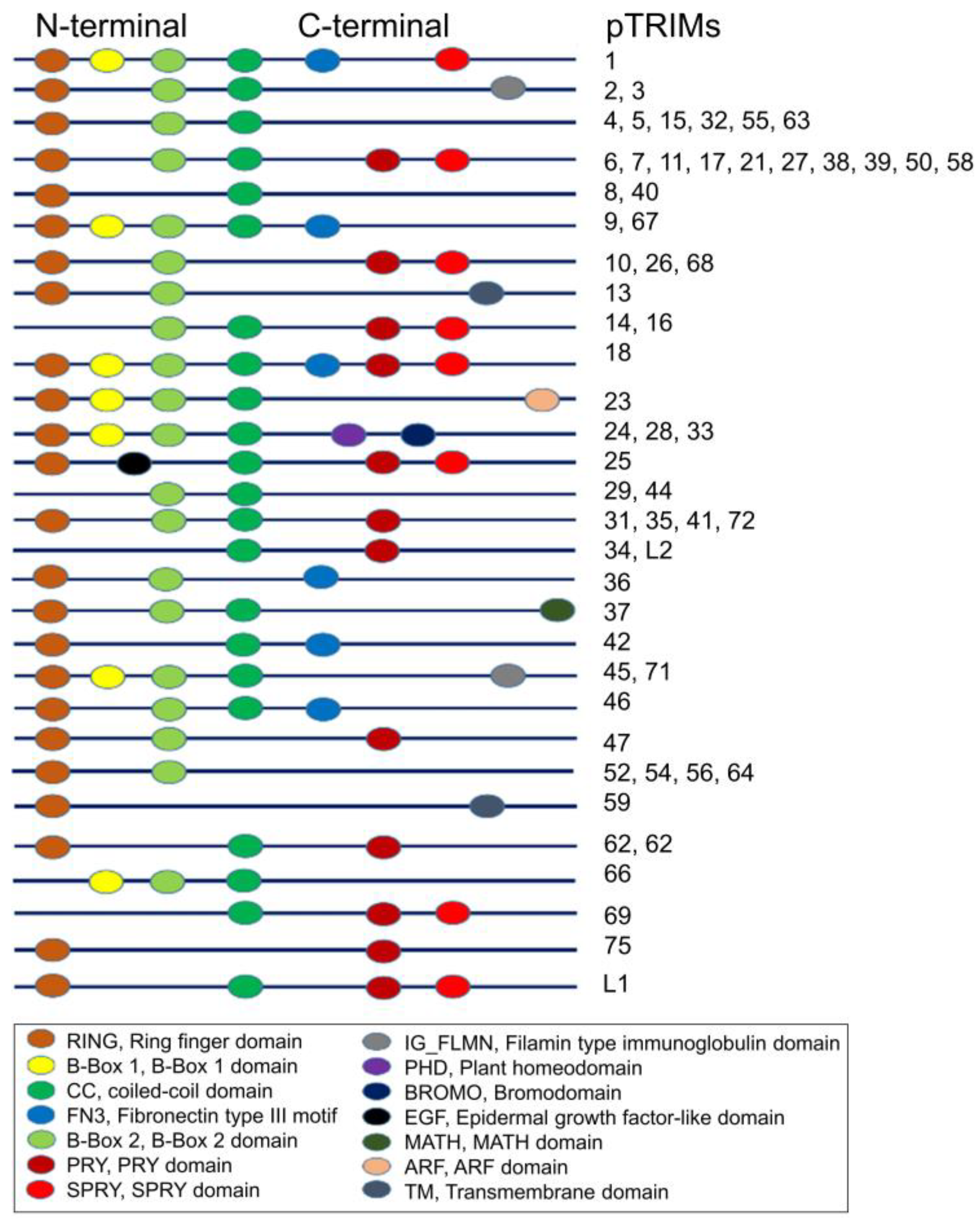 Ijms 24 01683 g001 Ijms 24 01683 g001