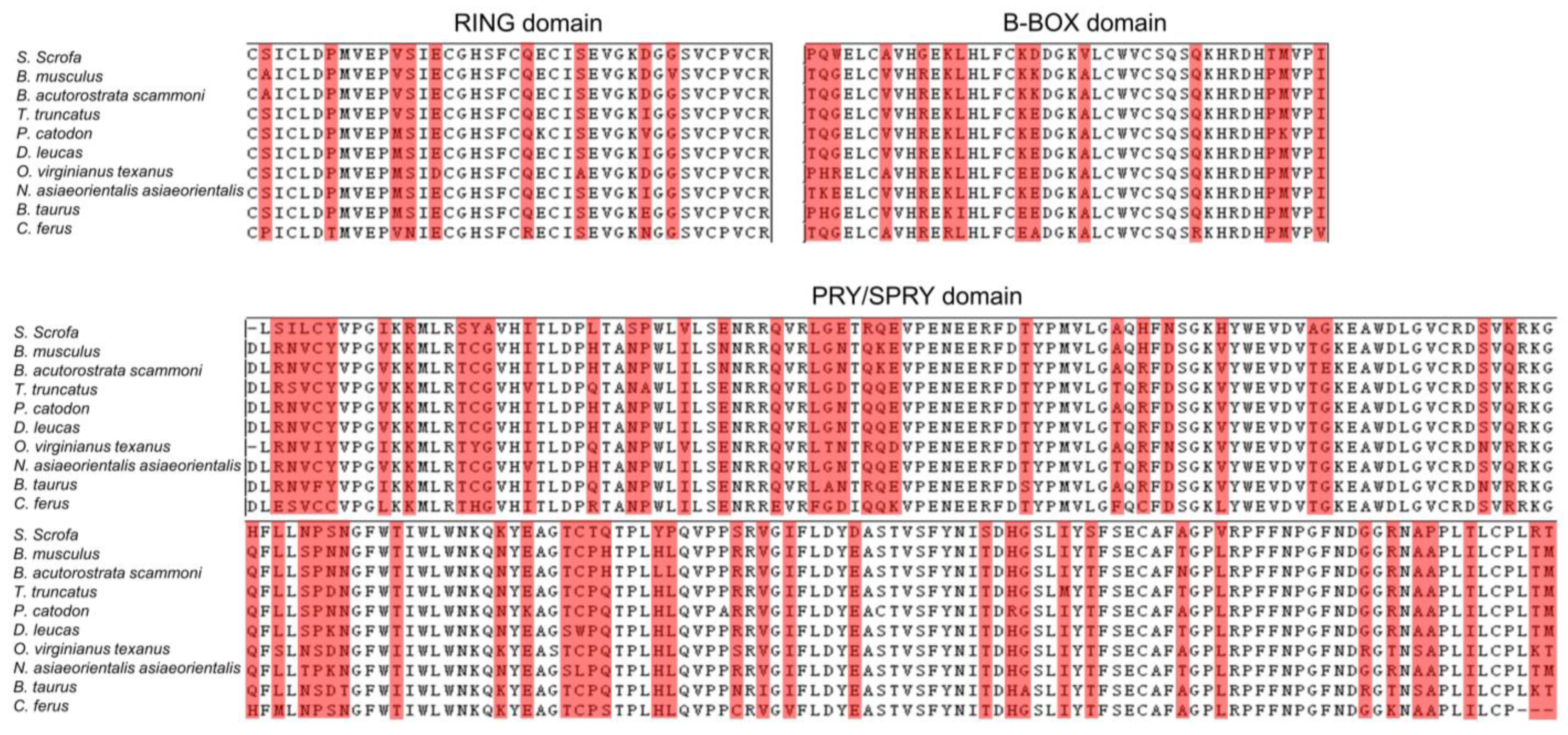 Ijms 24 01683 g004 Ijms 24 01683 g004