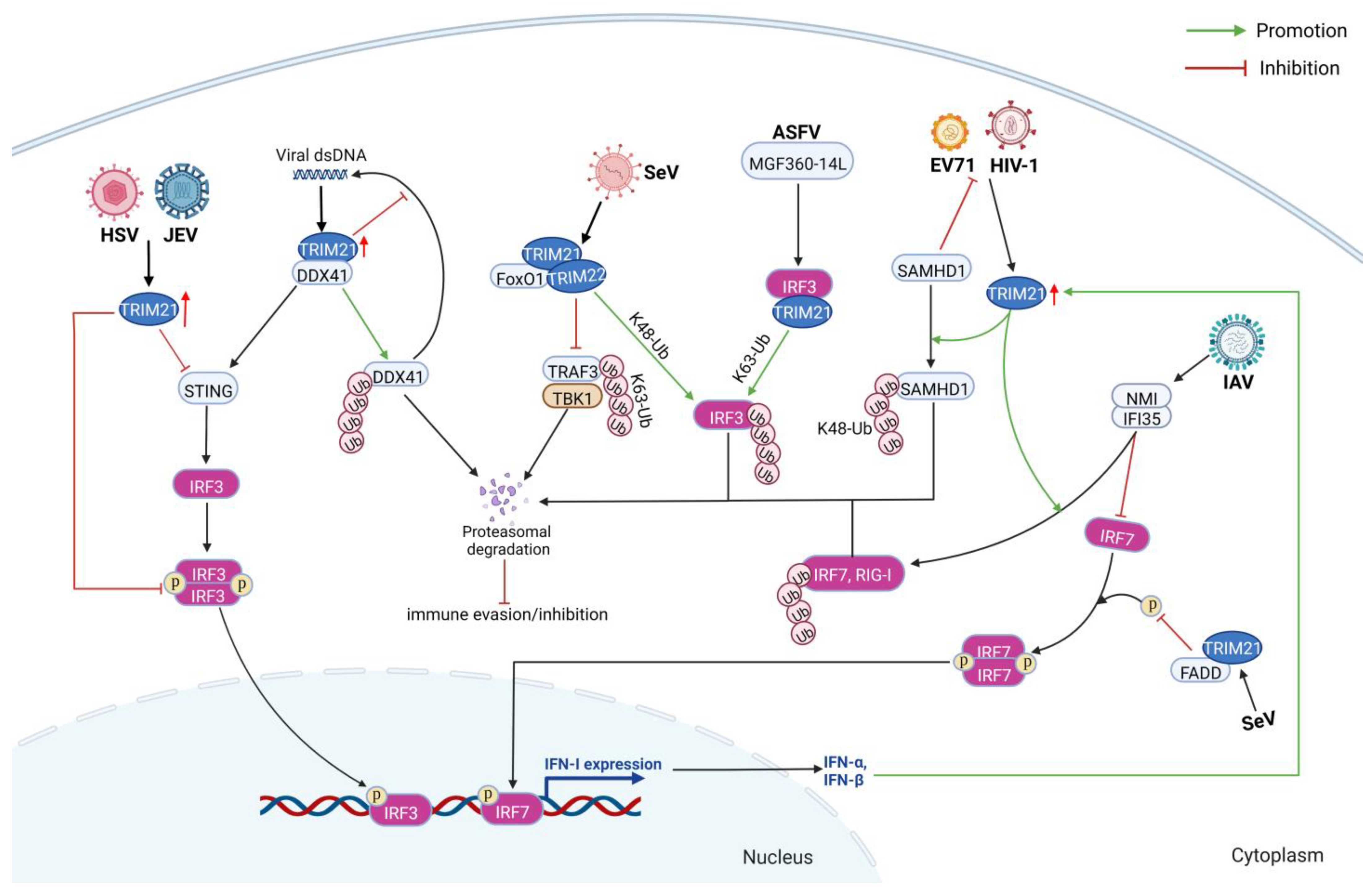 Ijms 24 01683 g006 Ijms 24 01683 g006
