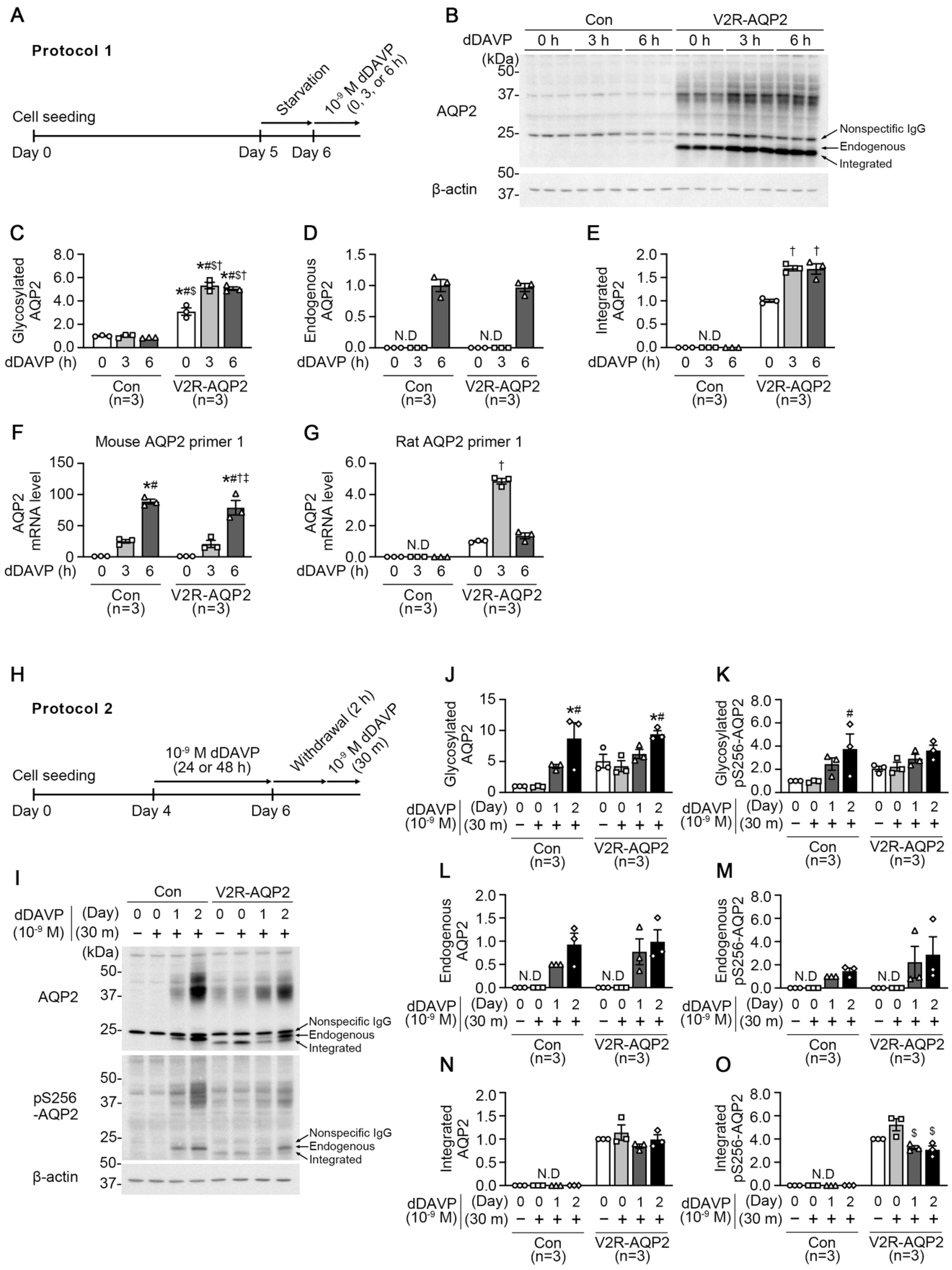 Ijms 24 01684 g003 Ijms 24 01684 g003