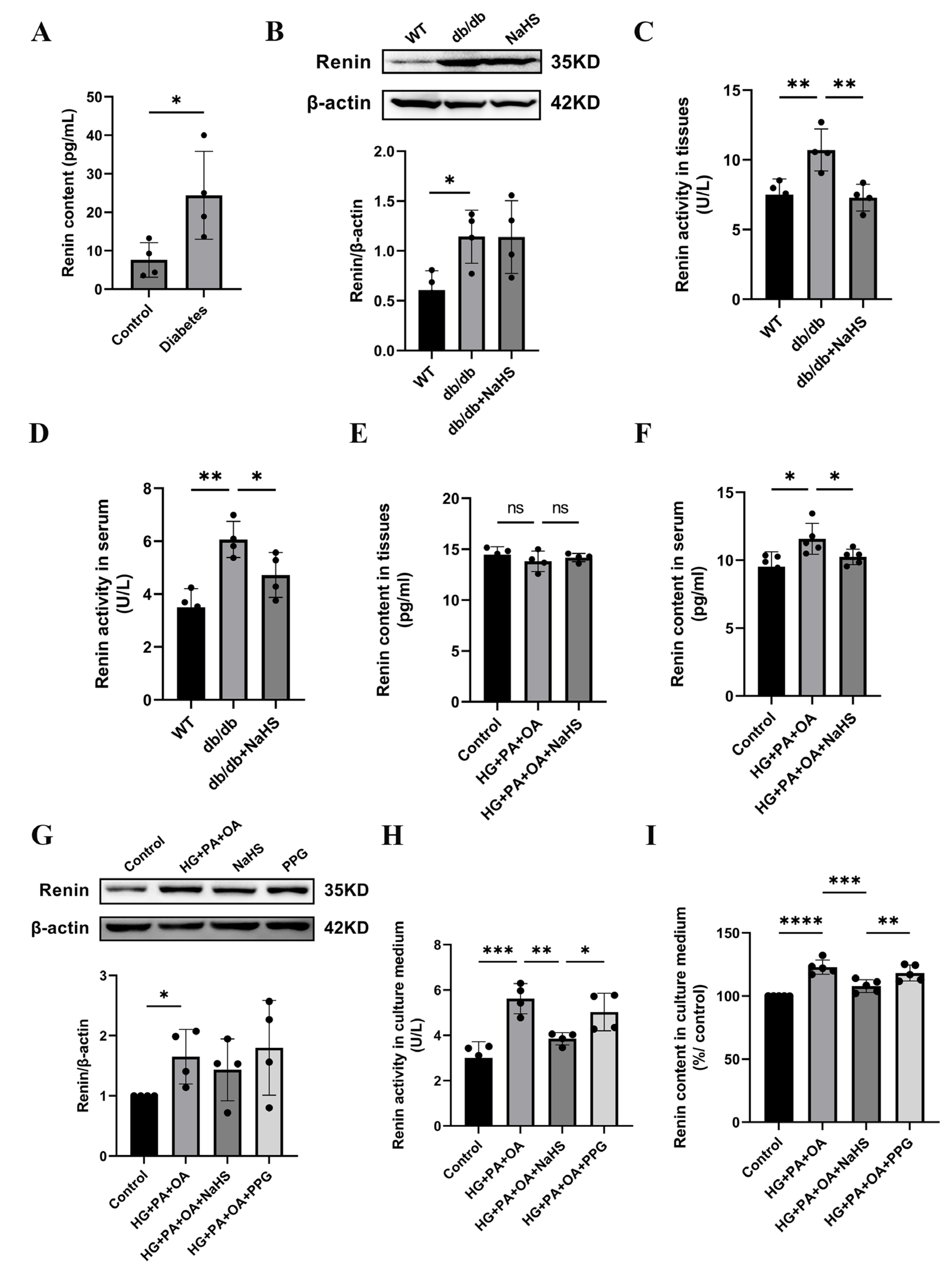 Ijms 24 01690 g003 Ijms 24 01690 g003