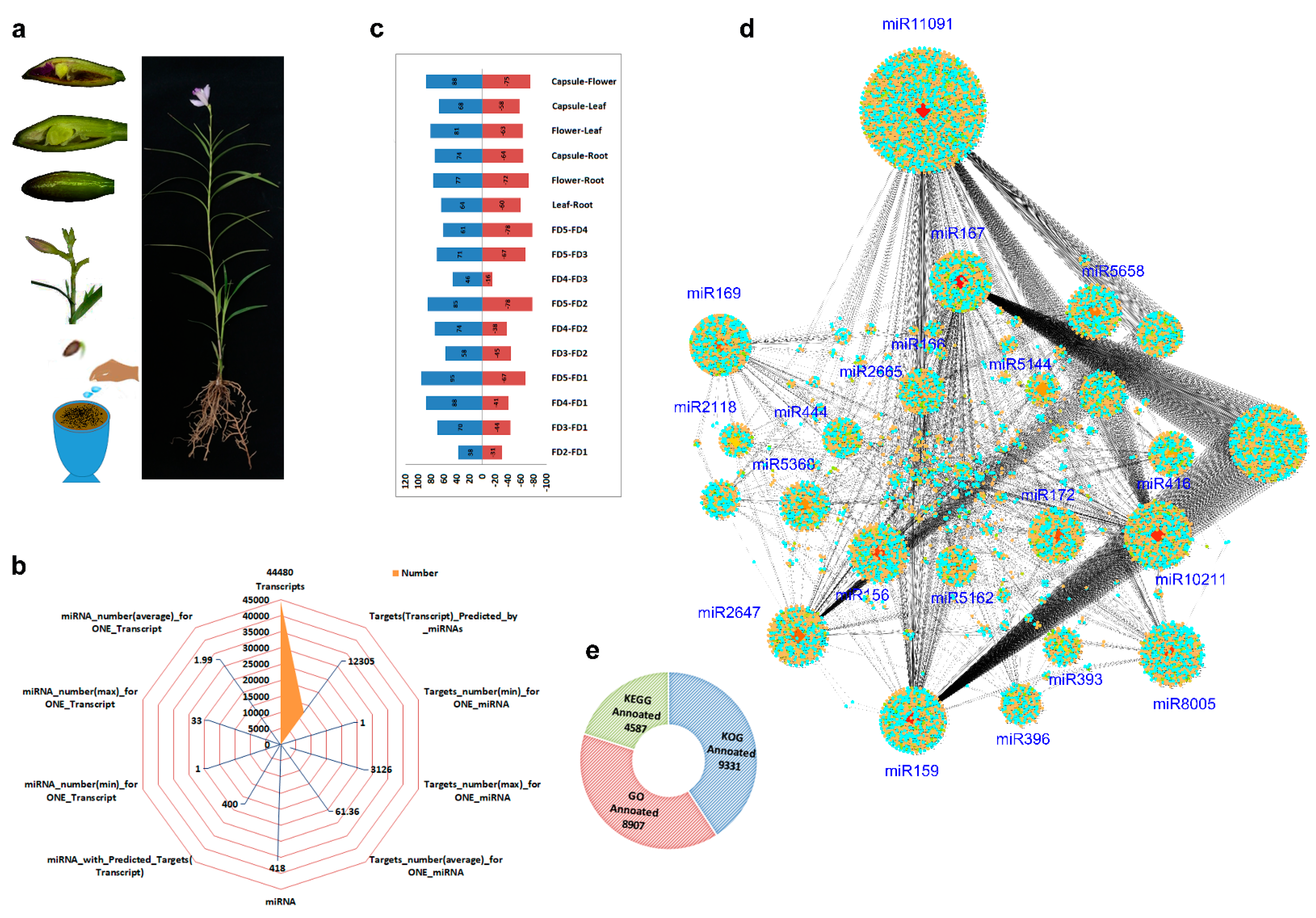 Ijms 24 01699 g001 Ijms 24 01699 g001