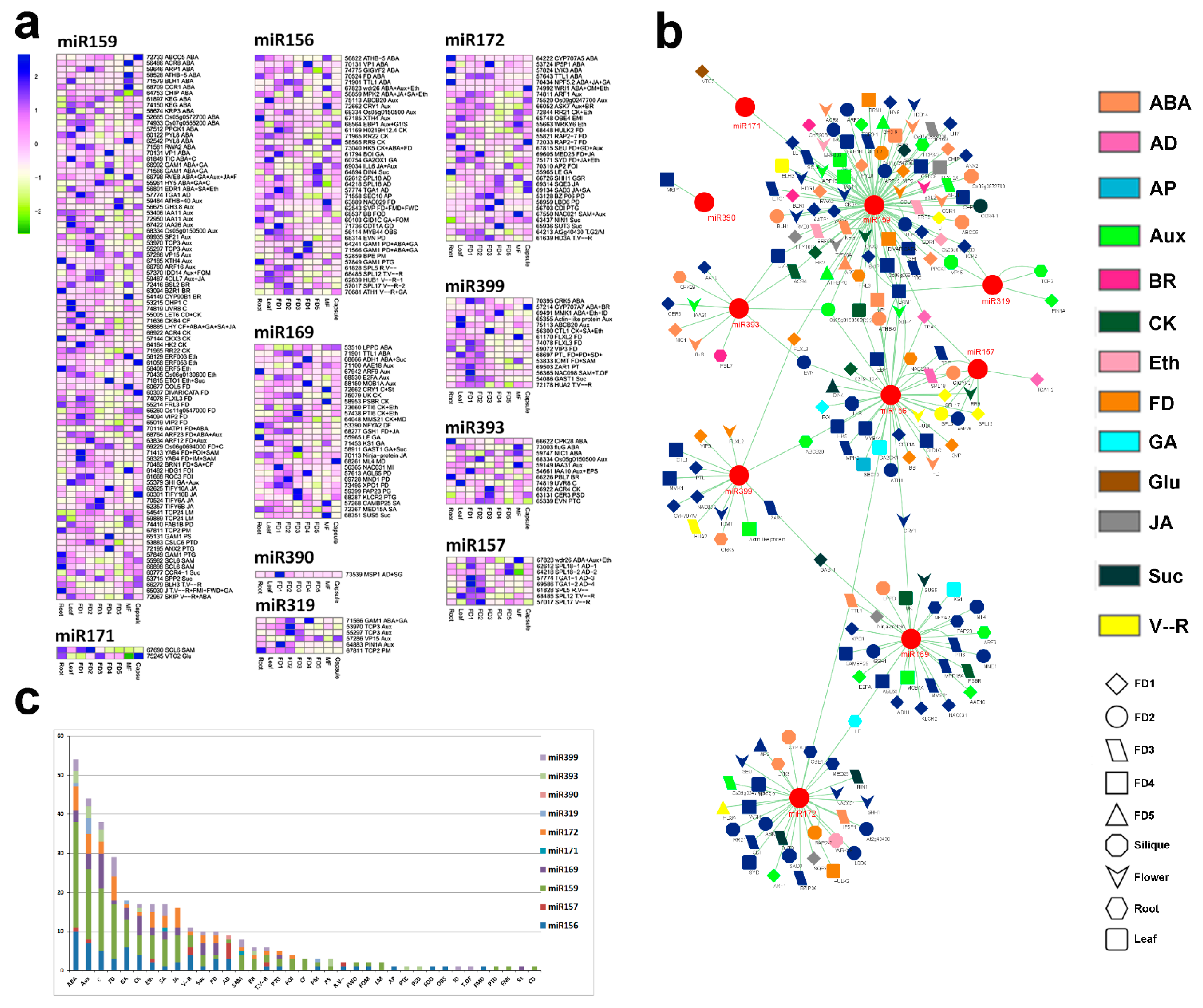 Ijms 24 01699 g003 Ijms 24 01699 g003