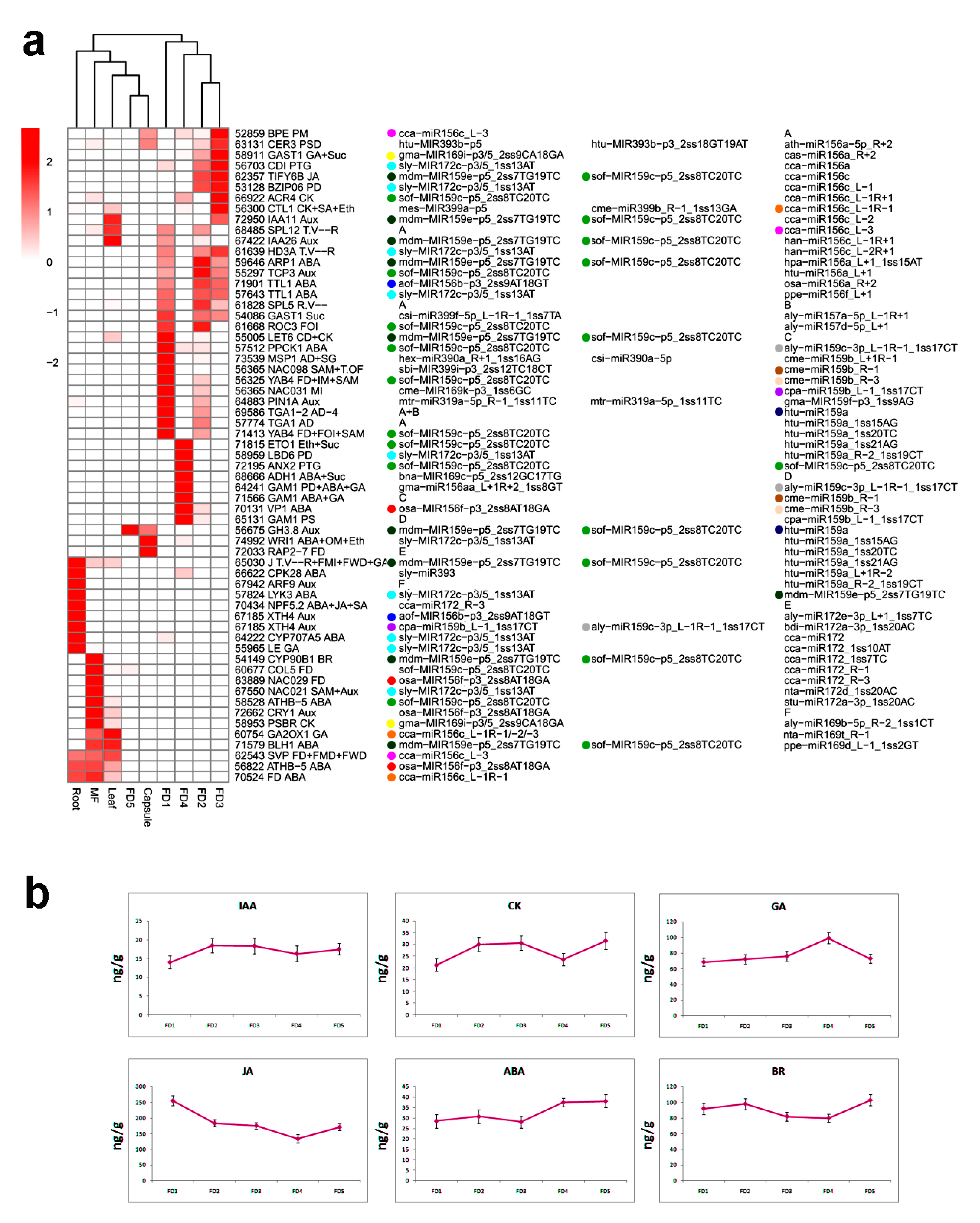 Ijms 24 01699 g004 Ijms 24 01699 g004