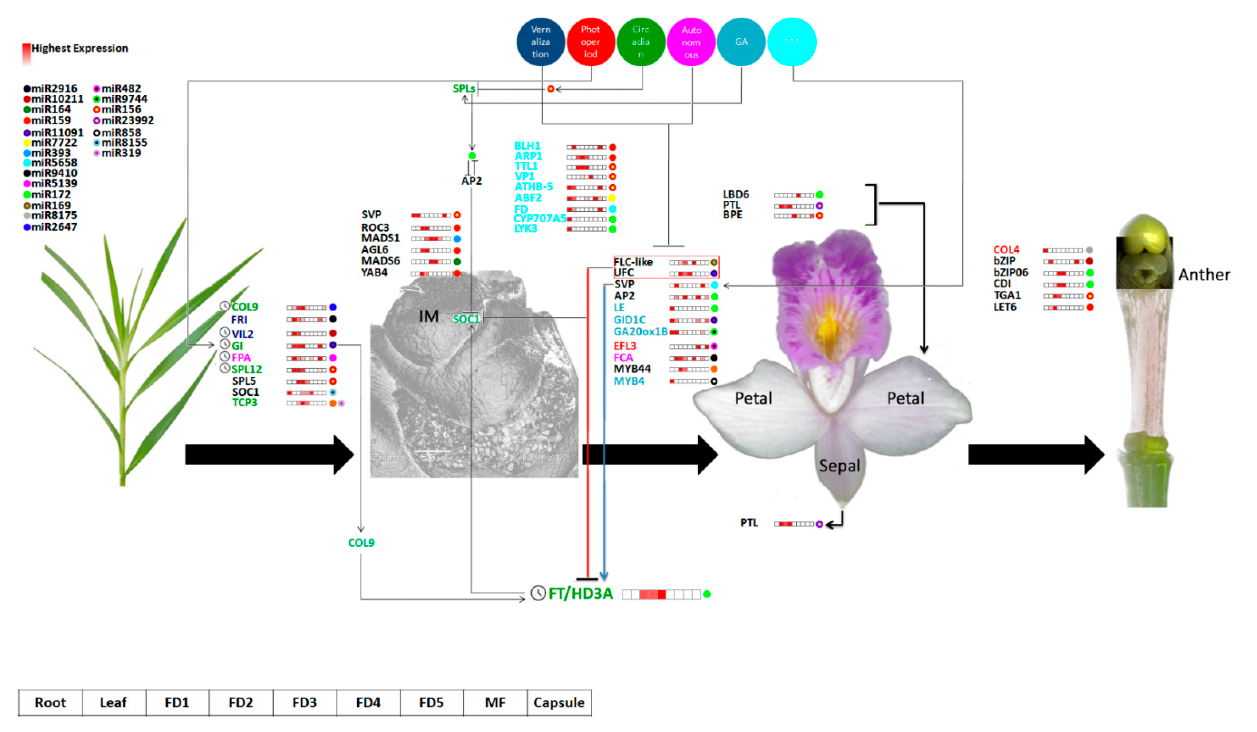 Ijms 24 01699 g006 Ijms 24 01699 g006