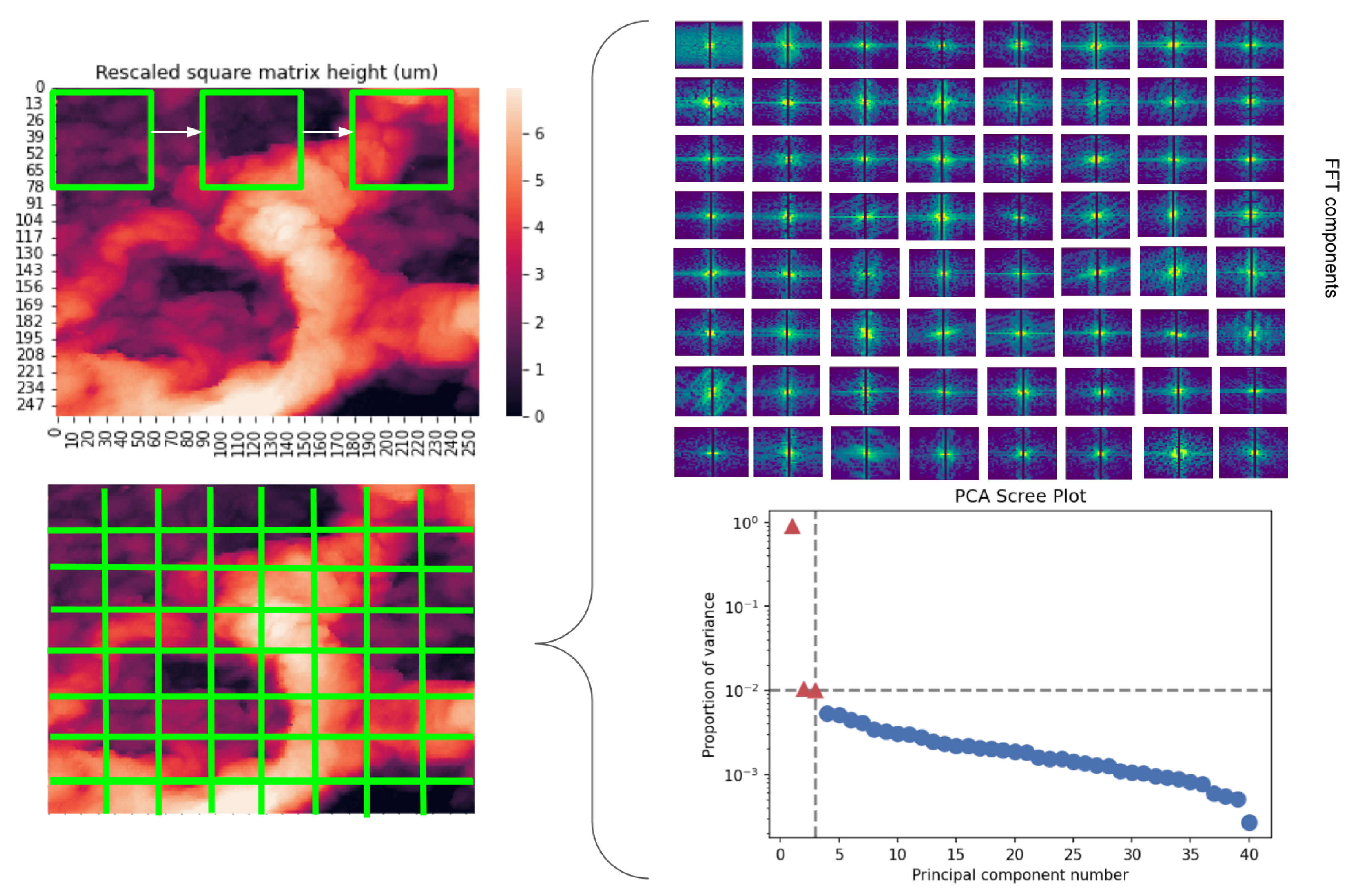 Ijms 24 01708 g010 Ijms 24 01708 g010