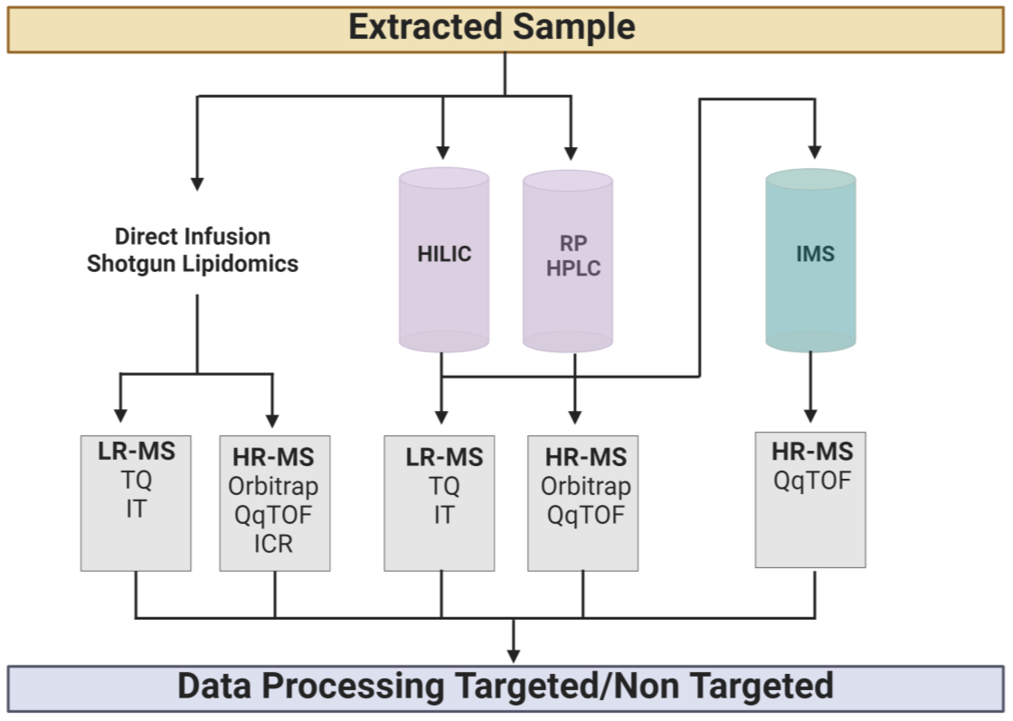 Lipidomics—Paving the Road towards Better Insight and Precision ...