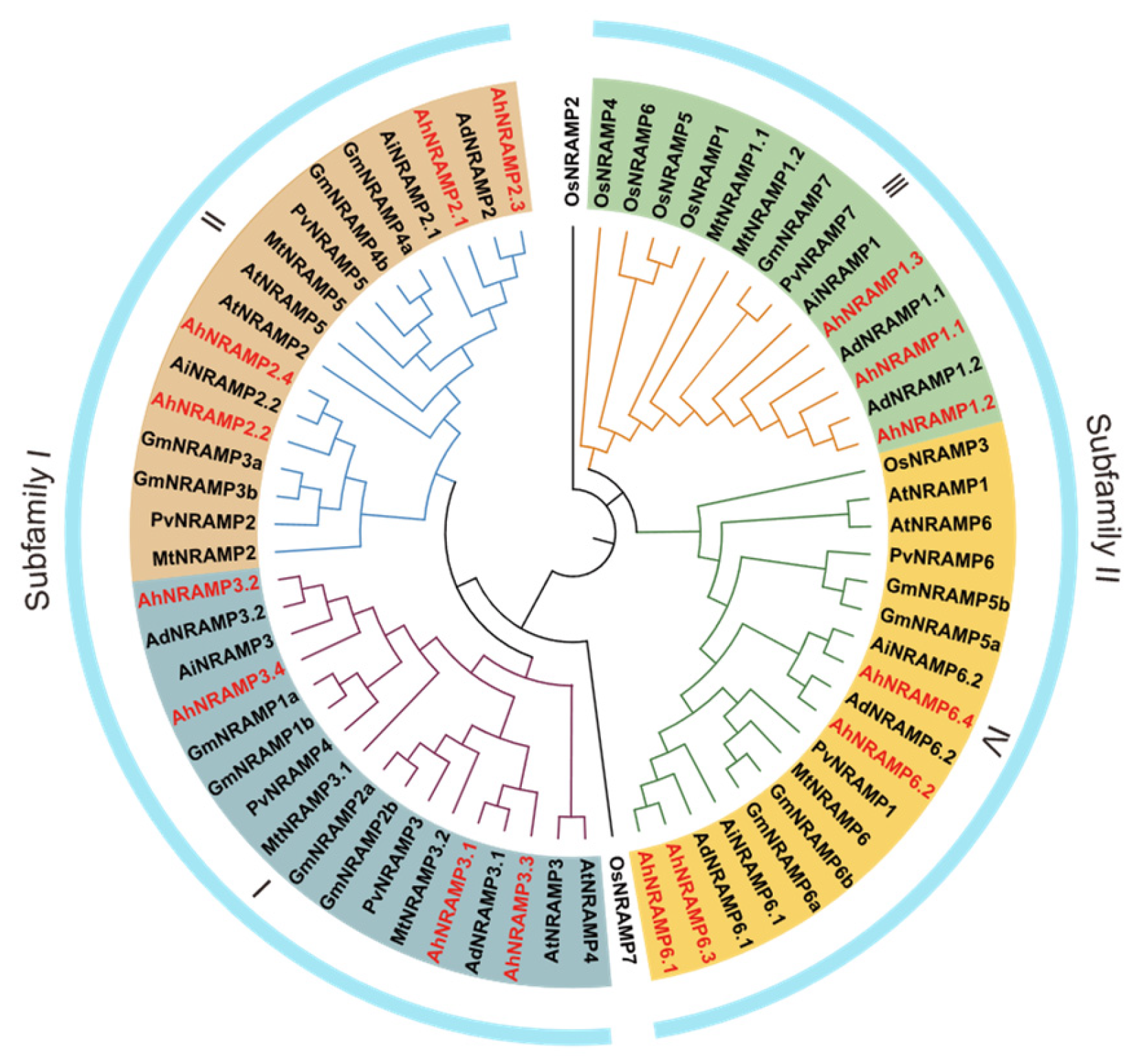 Ijms 24 01713 g001 Ijms 24 01713 g001