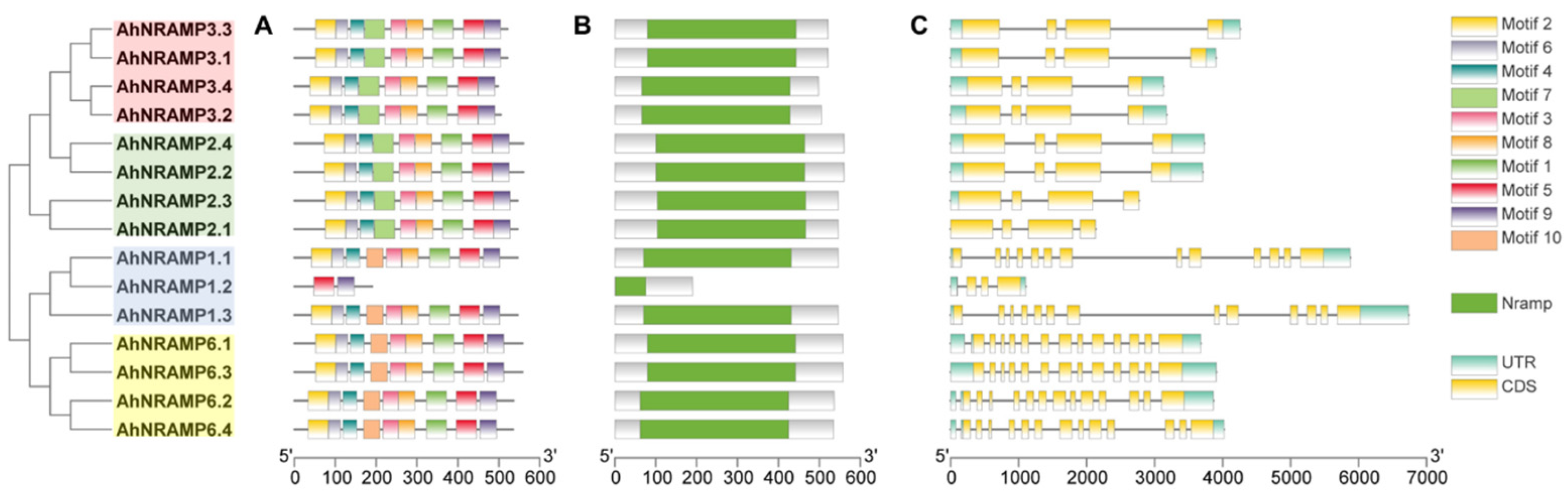 Ijms 24 01713 g002 Ijms 24 01713 g002