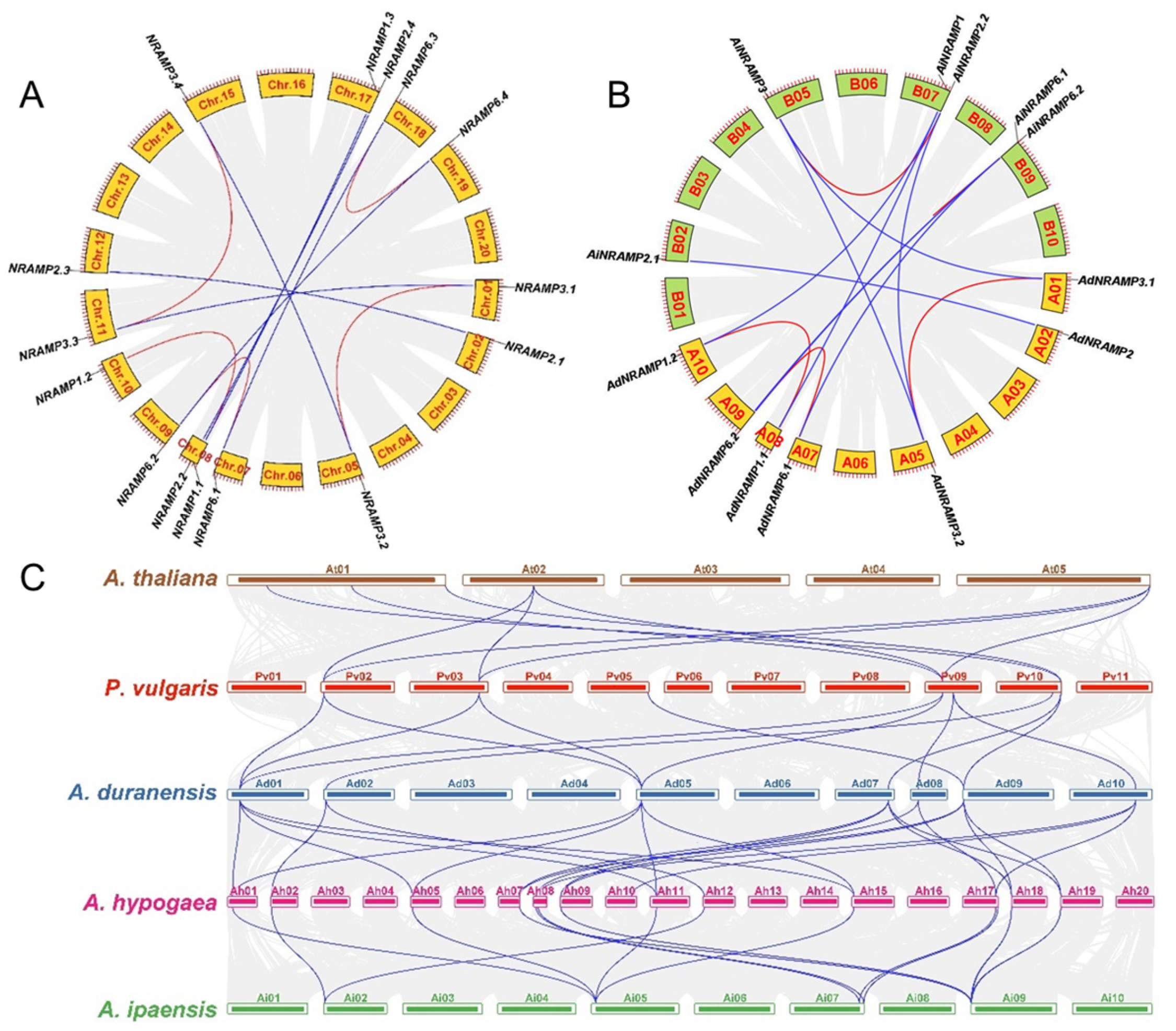 Ijms 24 01713 g003 Ijms 24 01713 g003