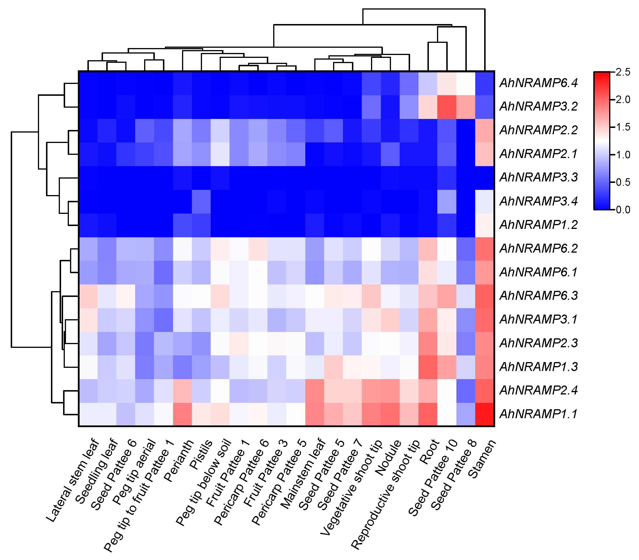 Ijms 24 01713 g006 Ijms 24 01713 g006
