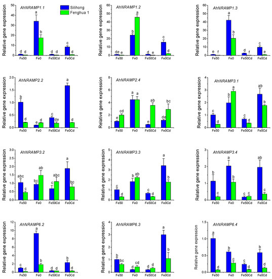IJMS Free FullText GenomeWide Identification and Expression