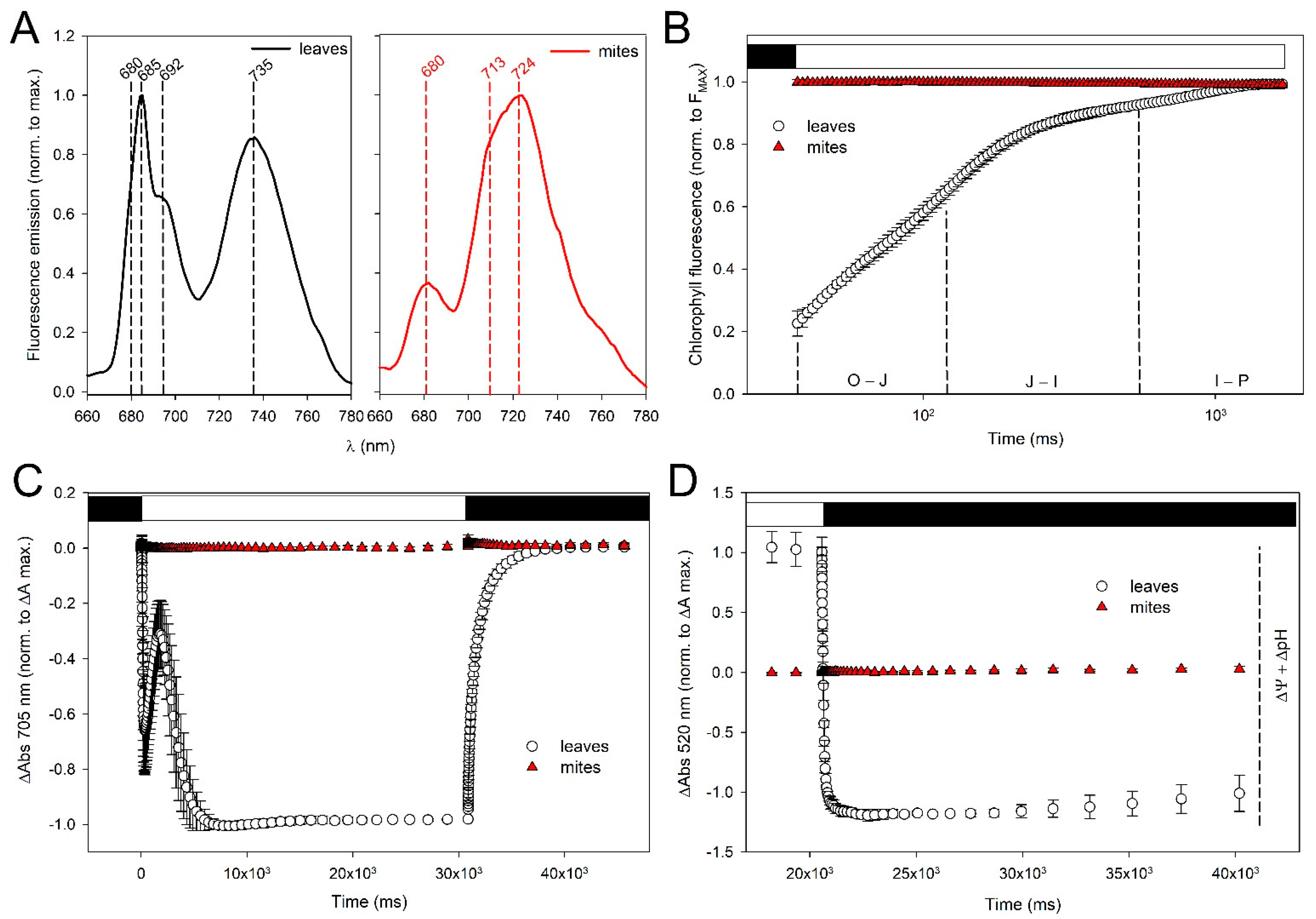 Ijms 24 01715 g010 Ijms 24 01715 g010