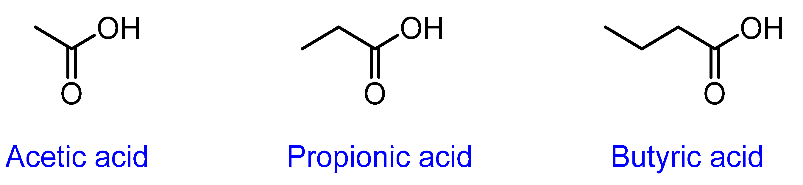 Ijms 24 01716 g004 Ijms 24 01716 g004