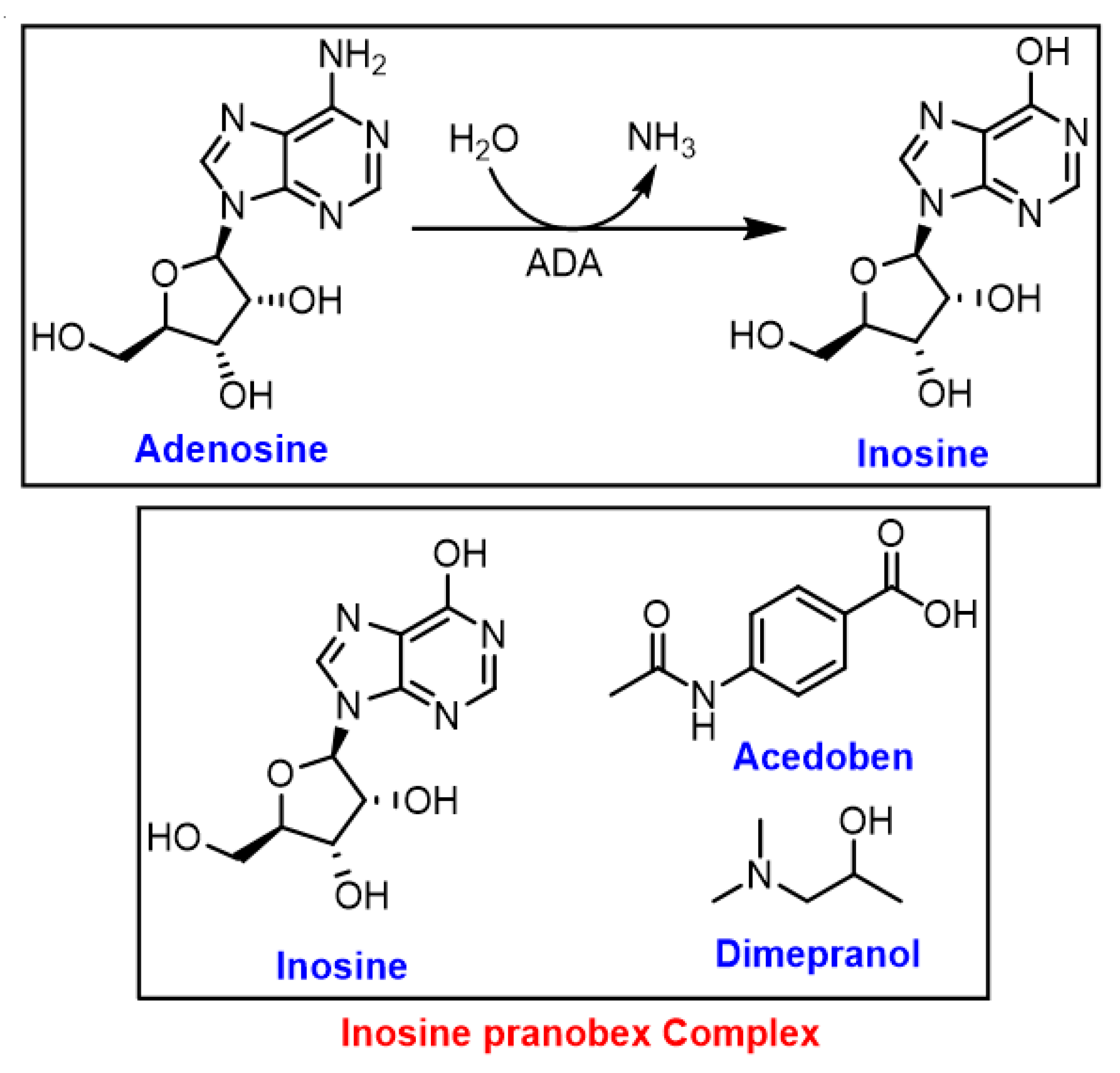 Ijms 24 01716 g005 Ijms 24 01716 g005