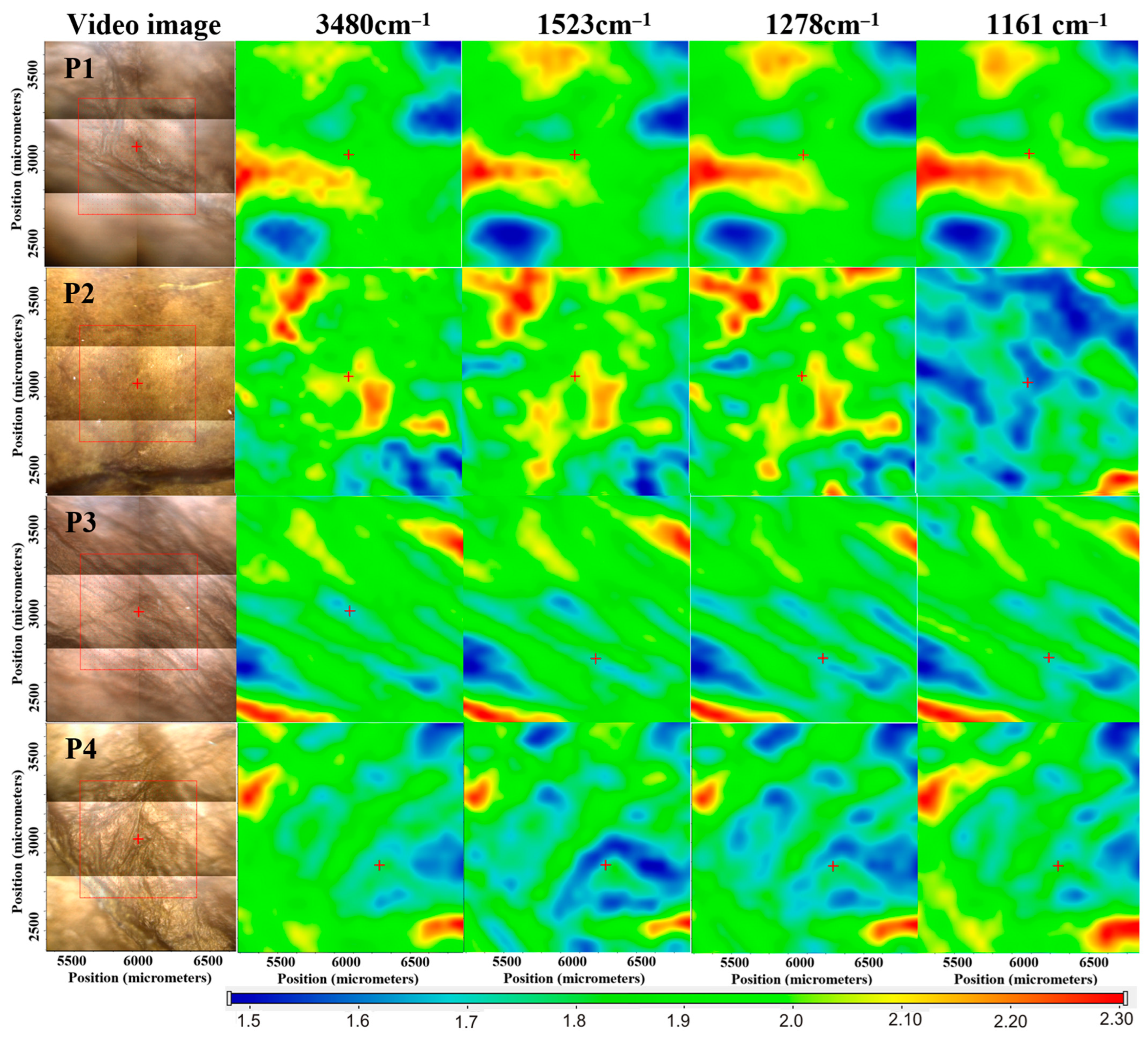 Ijms 24 01719 g003 Ijms 24 01719 g003