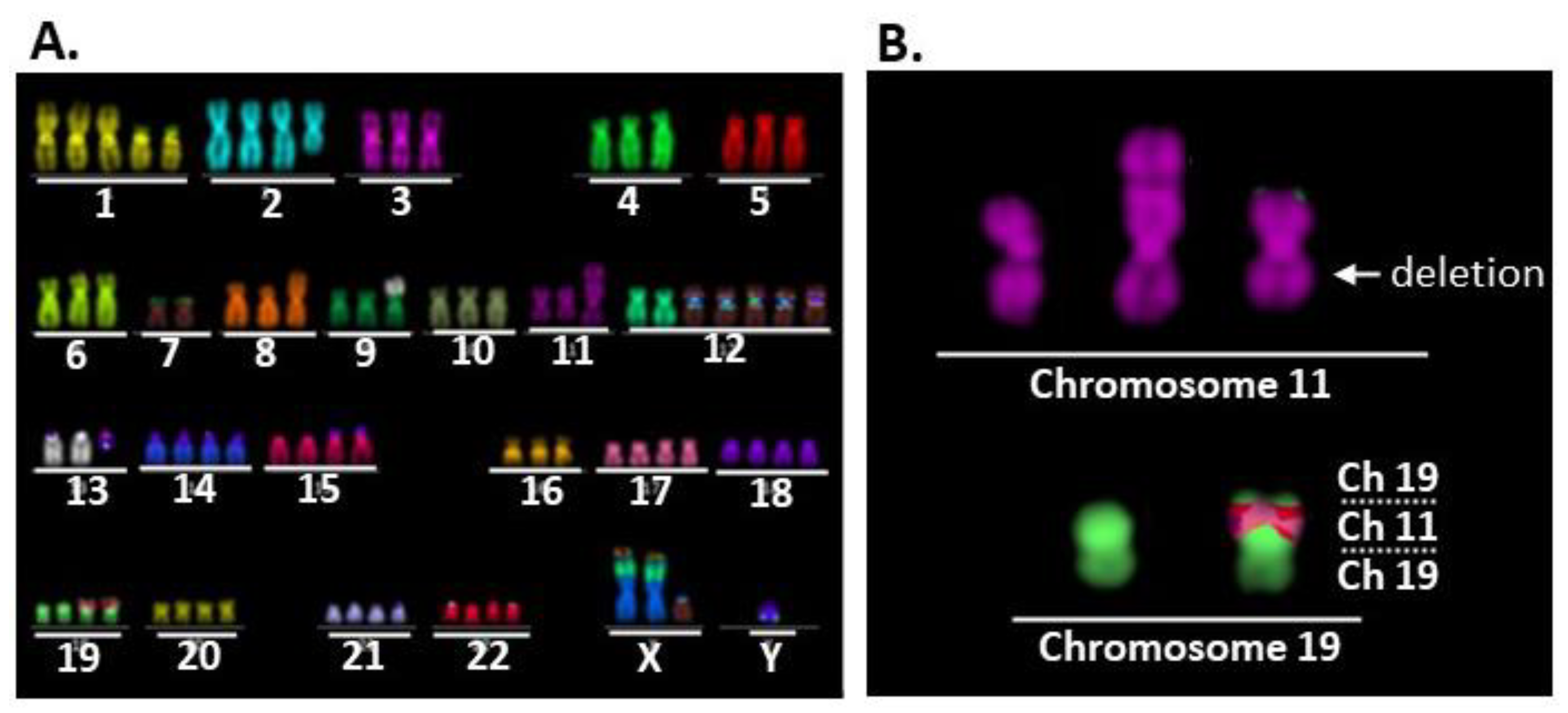 Ijms 24 01722 g002a Ijms 24 01722 g002a
