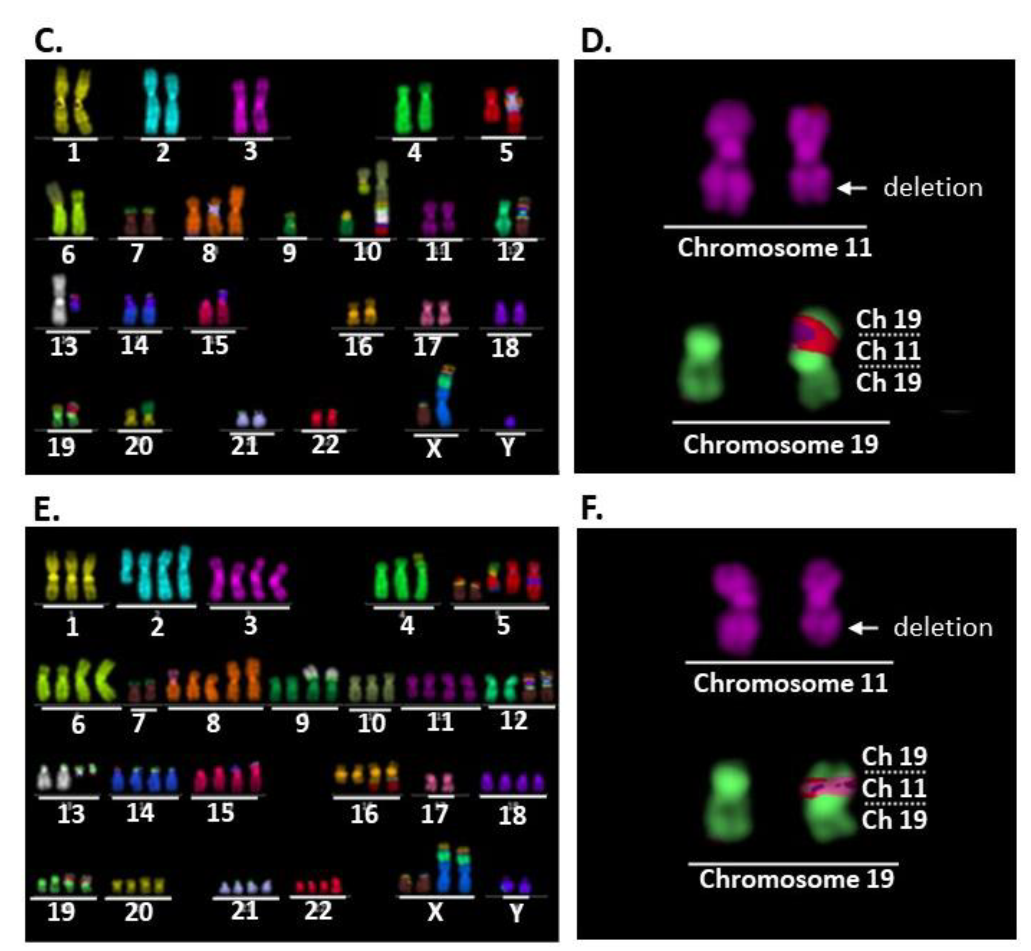 Ijms 24 01722 g002b Ijms 24 01722 g002b