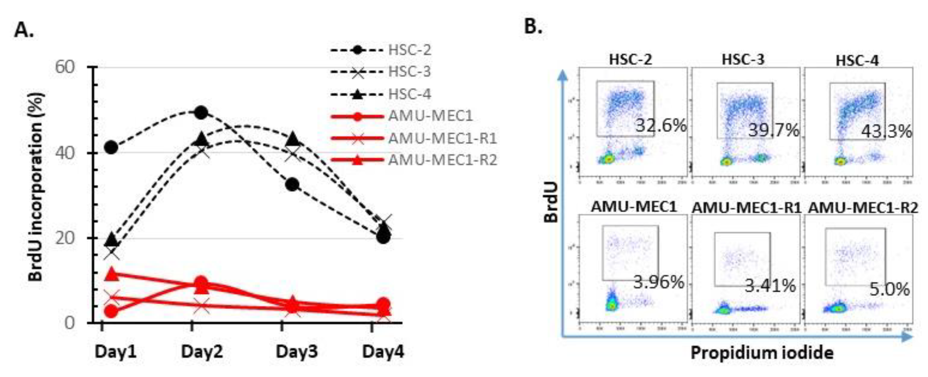 Ijms 24 01722 g004 Ijms 24 01722 g004