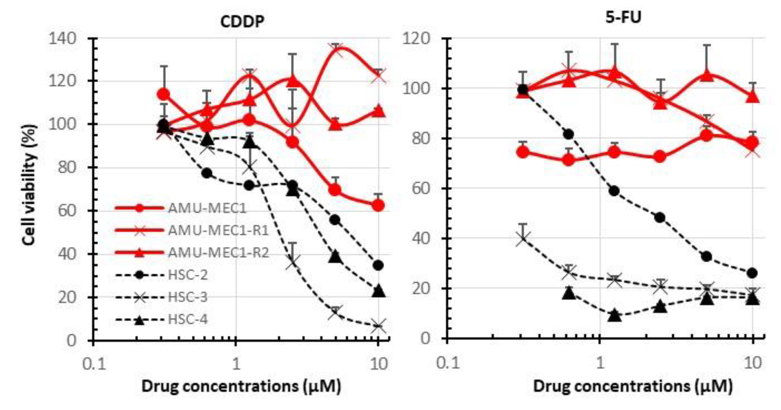 Ijms 24 01722 g005 Ijms 24 01722 g005