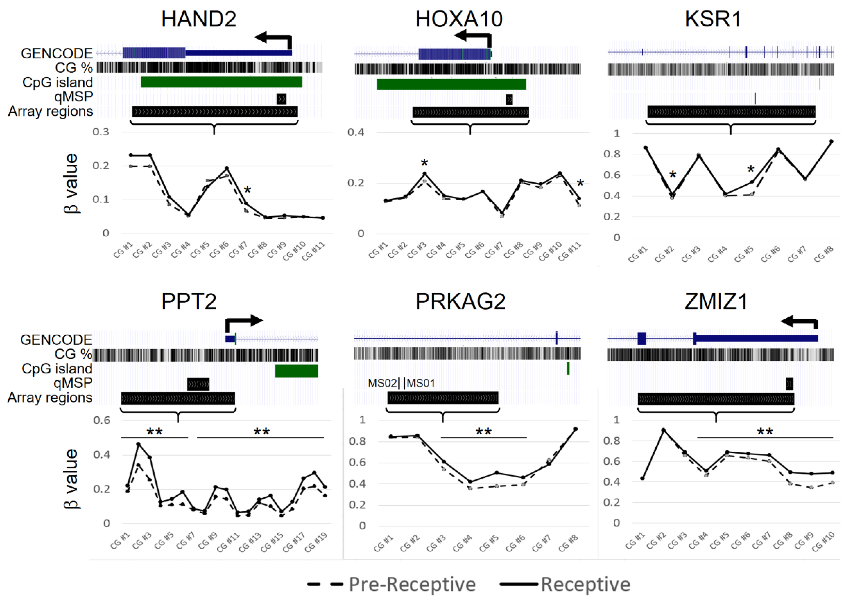 Ijms 24 01726 g001 Ijms 24 01726 g001