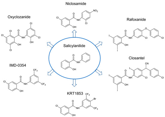 Frontiers | Immunotherapy in the context of sepsis-induced