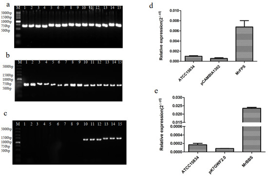 【satoko】 Designing Pathway-Controlled Multicomponent Ultrashort