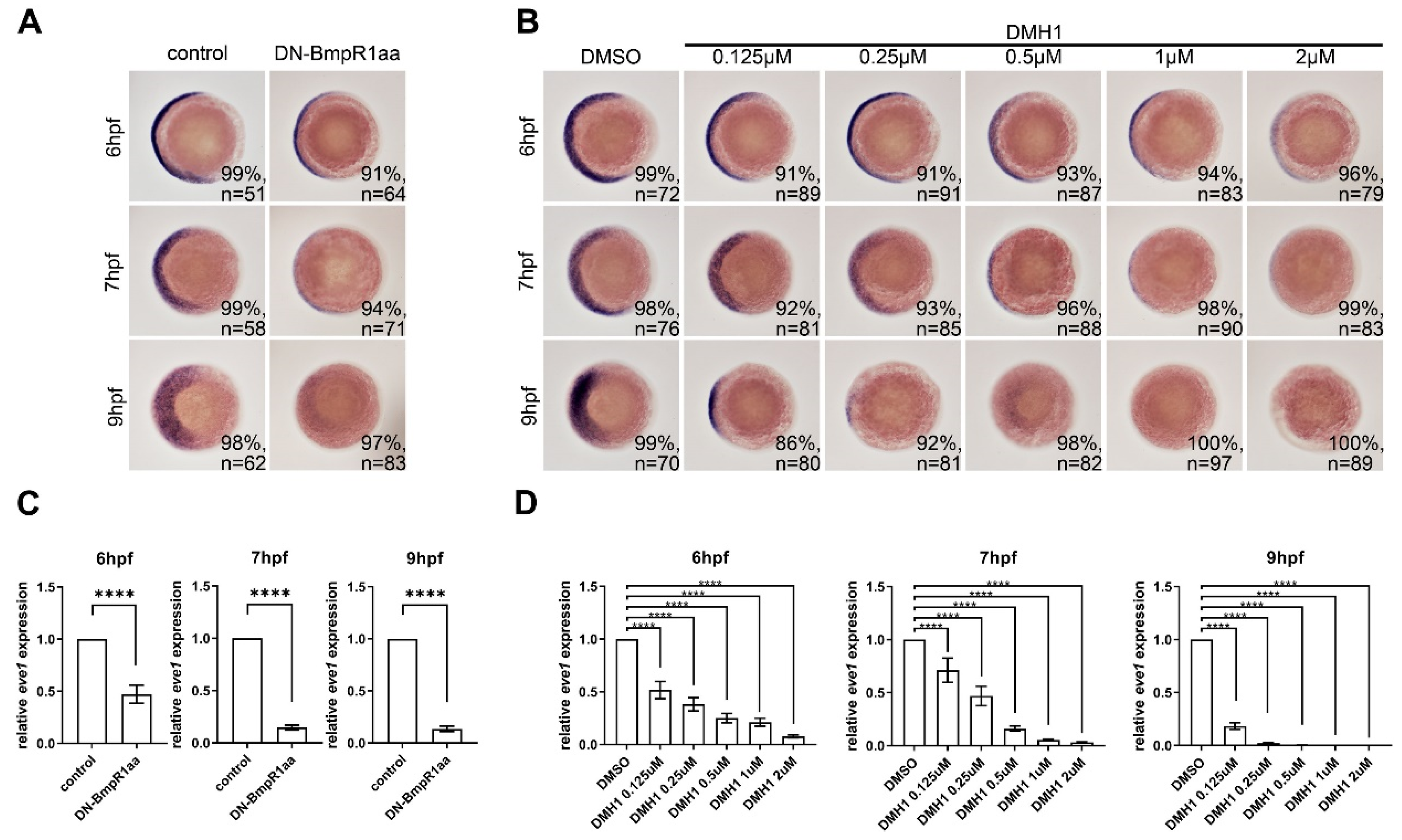 Ijms 24 01733 g002 Ijms 24 01733 g002