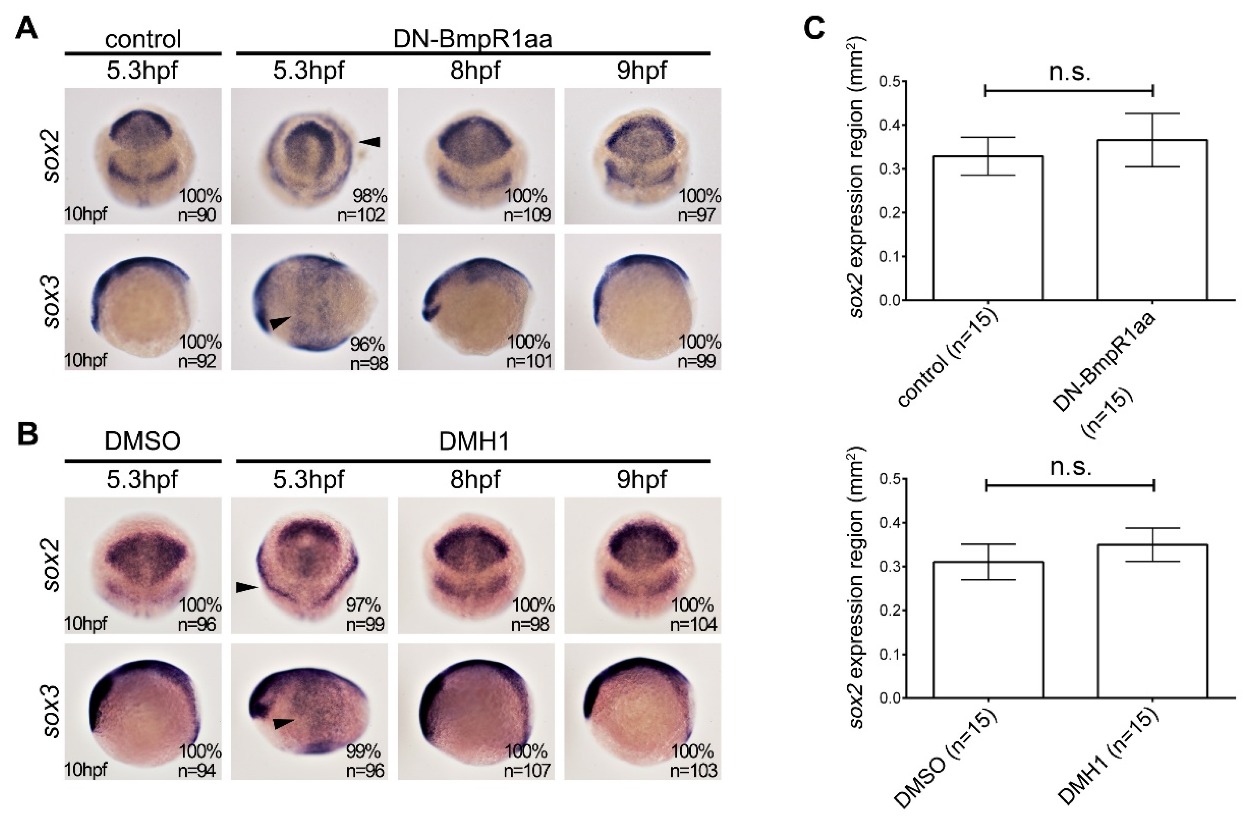 Ijms 24 01733 g003 Ijms 24 01733 g003