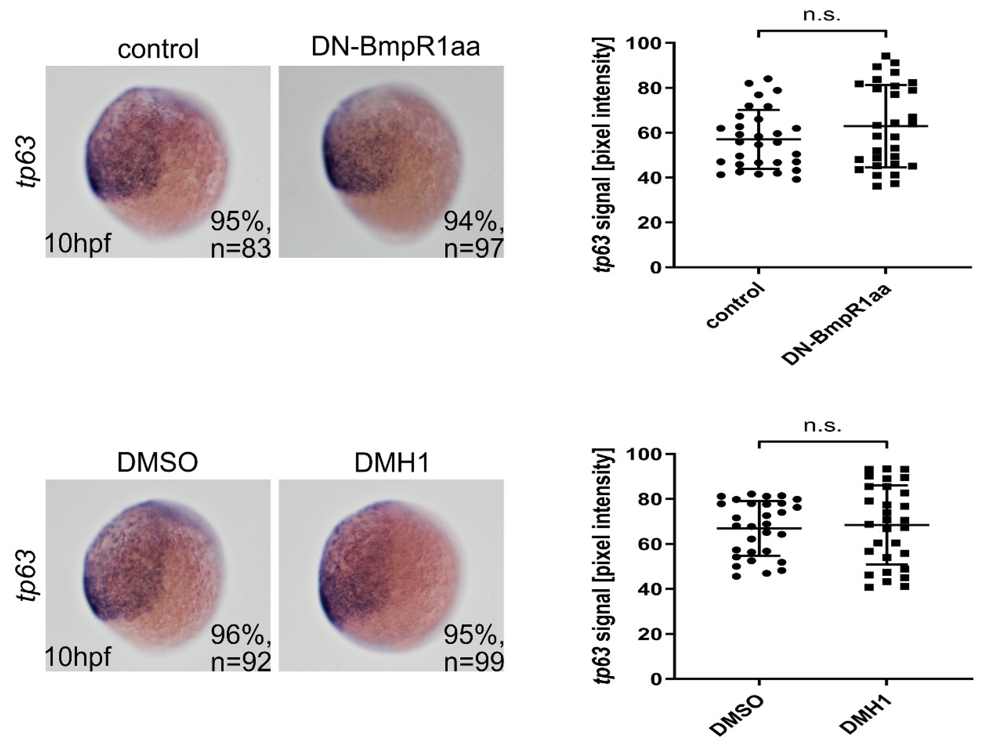 Ijms 24 01733 g004 Ijms 24 01733 g004