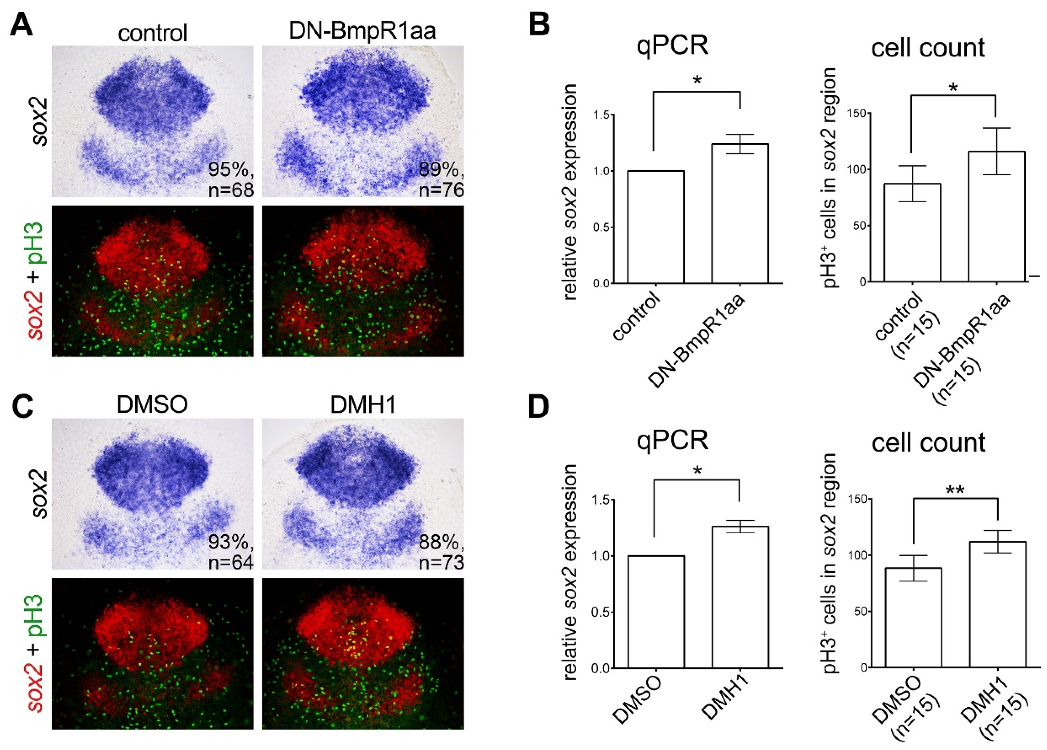 Ijms 24 01733 g005 Ijms 24 01733 g005