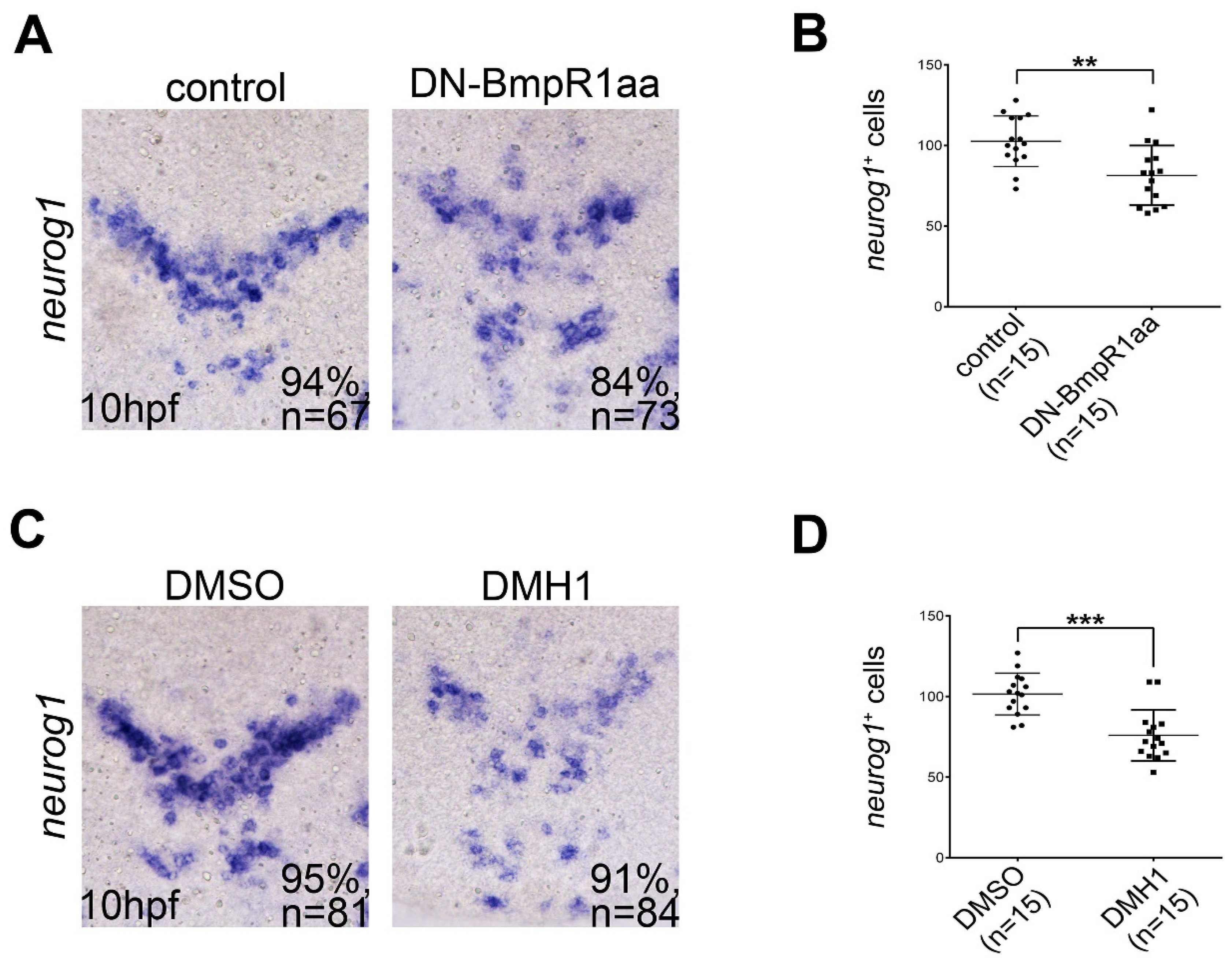 Ijms 24 01733 g006 Ijms 24 01733 g006