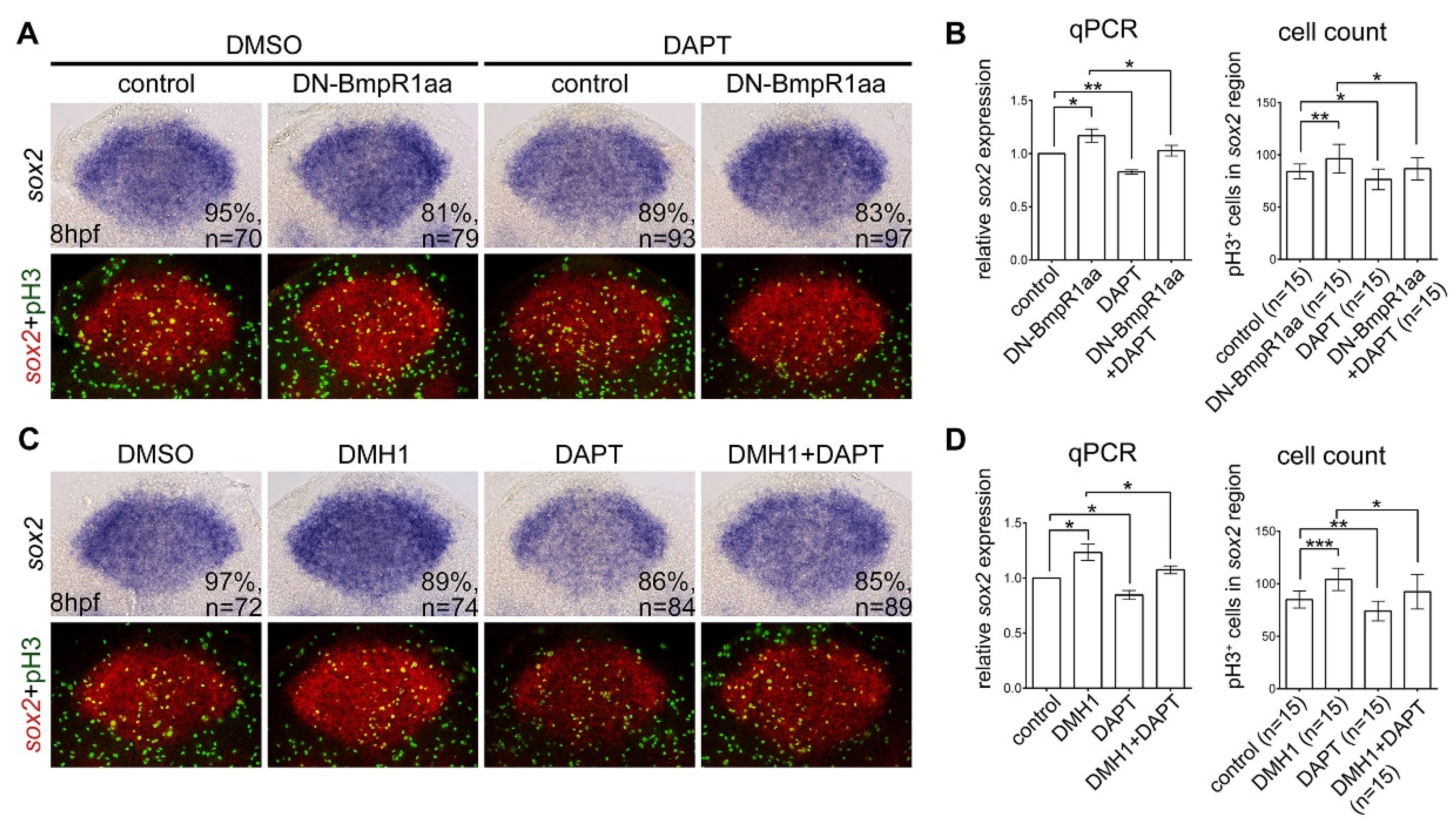 Ijms 24 01733 g007 Ijms 24 01733 g007