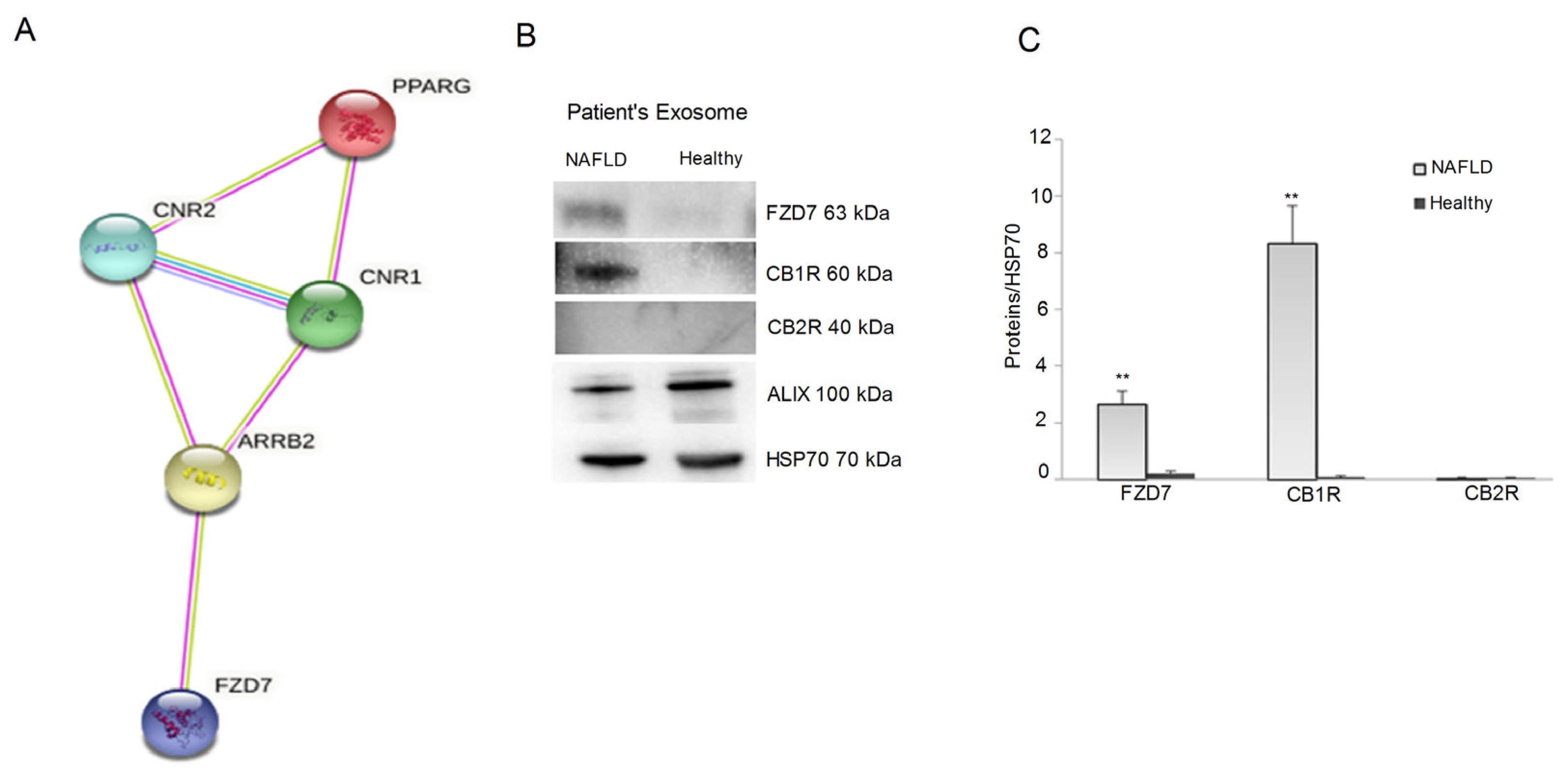 Ijms 24 01739 g002 Ijms 24 01739 g002