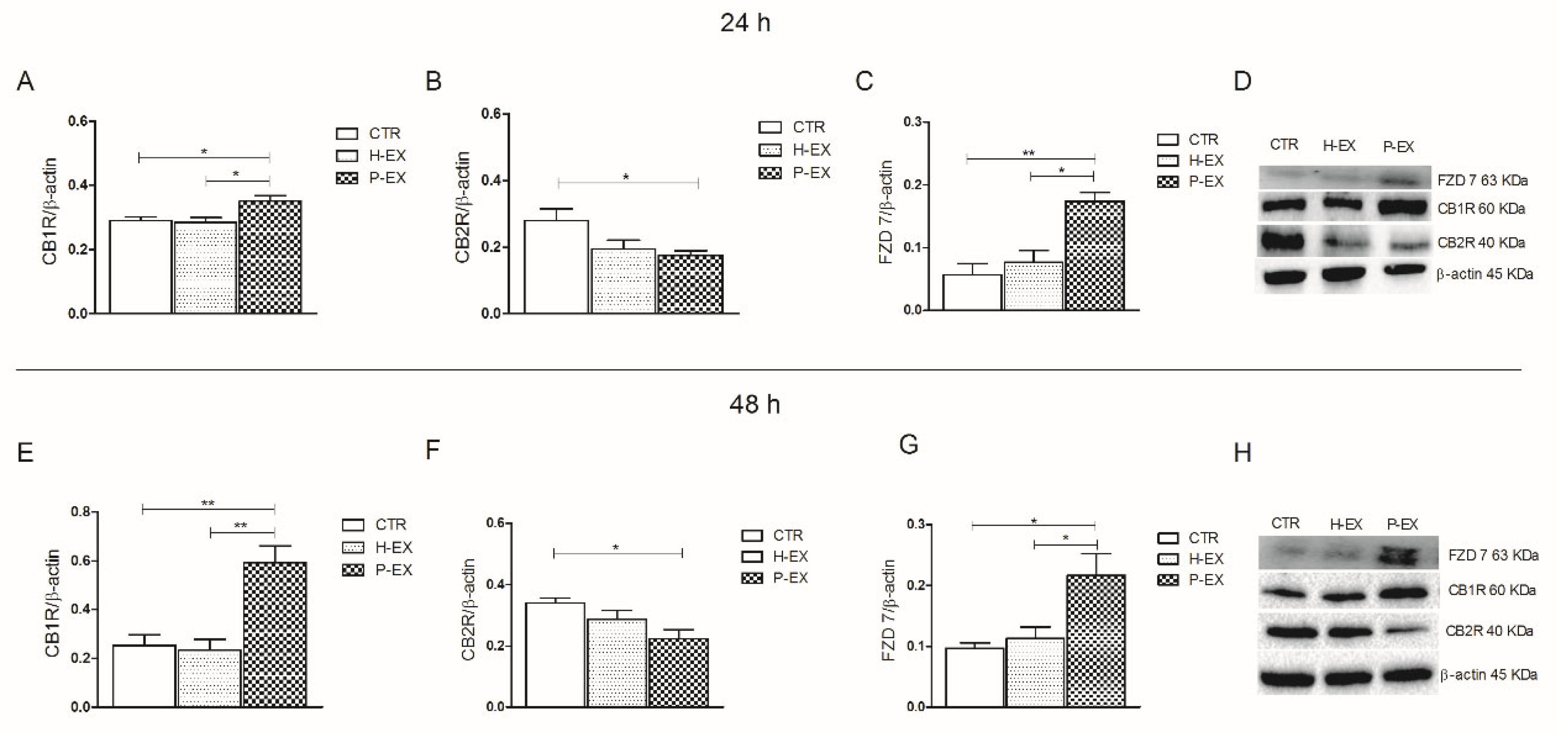 Ijms 24 01739 g003 Ijms 24 01739 g003