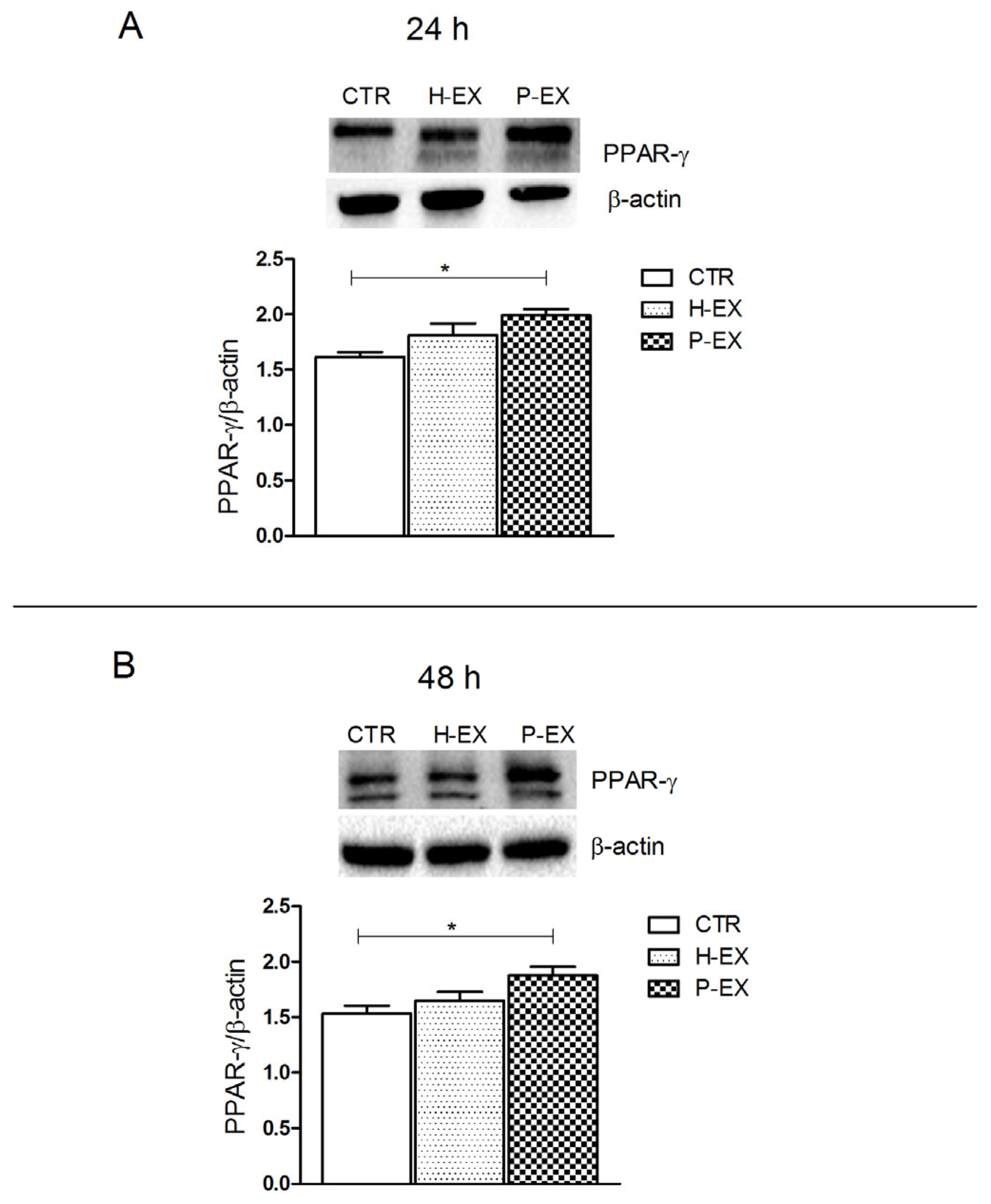 Ijms 24 01739 g006 Ijms 24 01739 g006