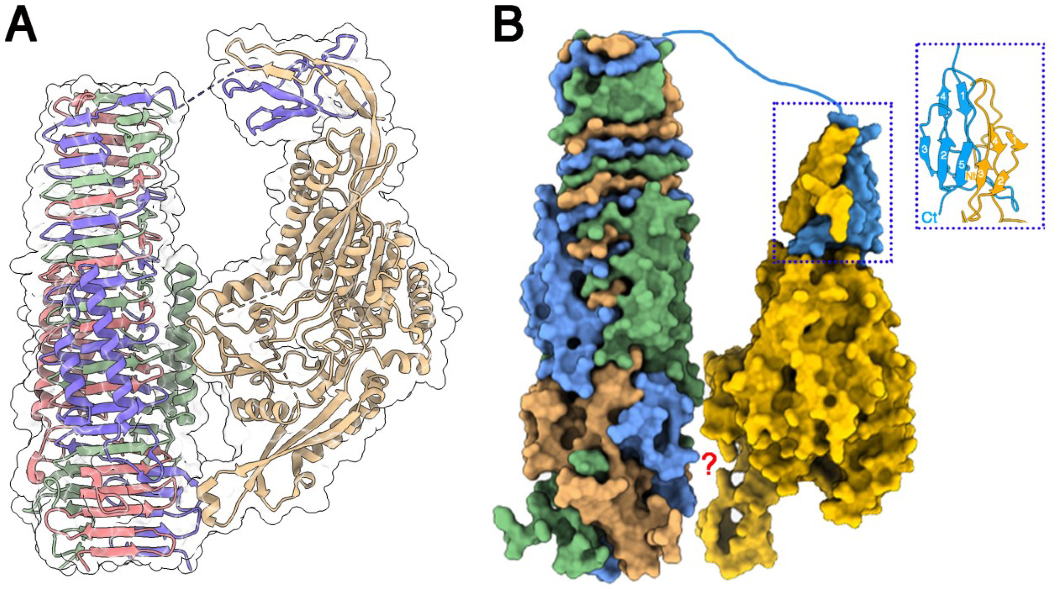 Ijms 24 01740 g006 Ijms 24 01740 g006