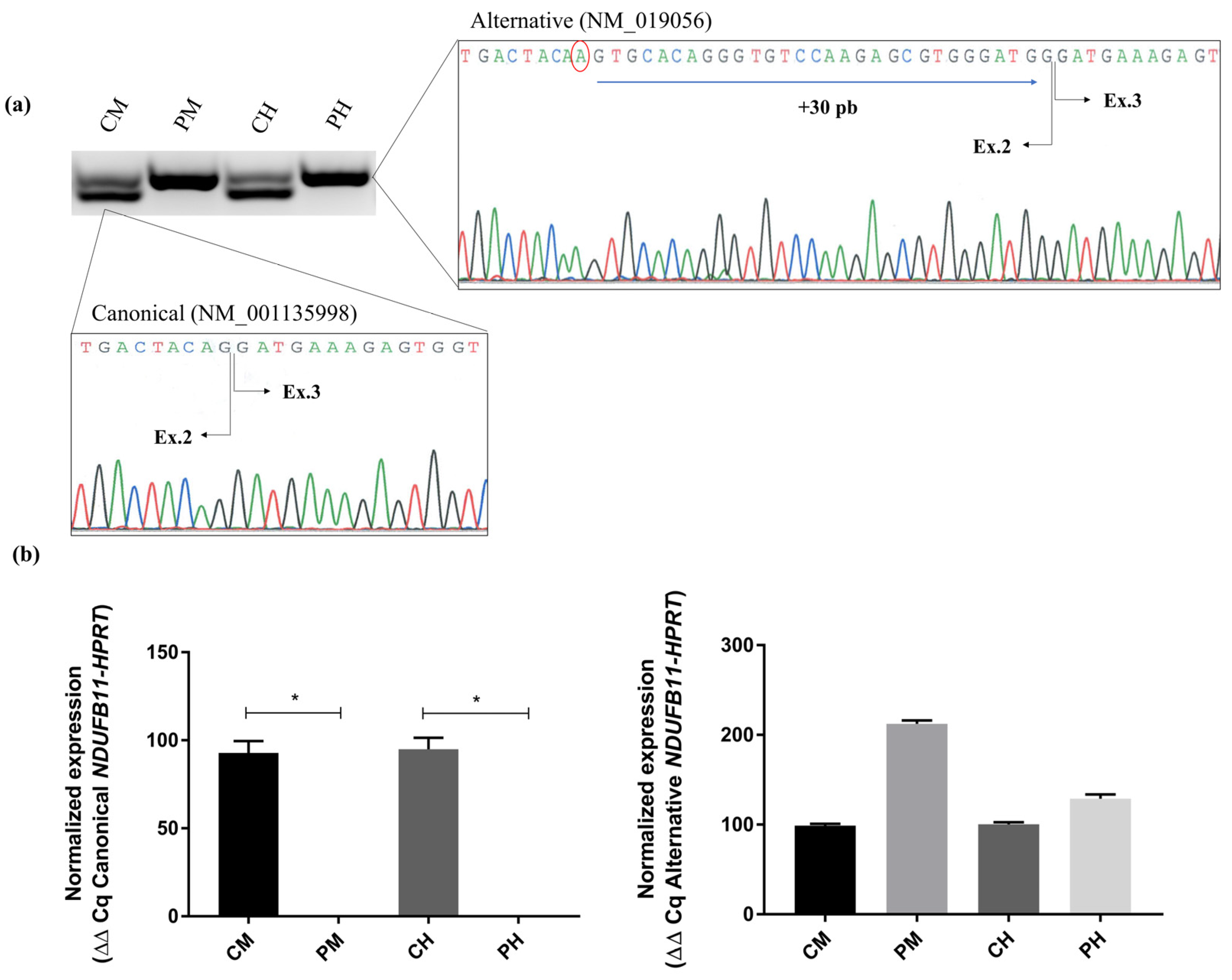 Ijms 24 01743 g002 Ijms 24 01743 g002