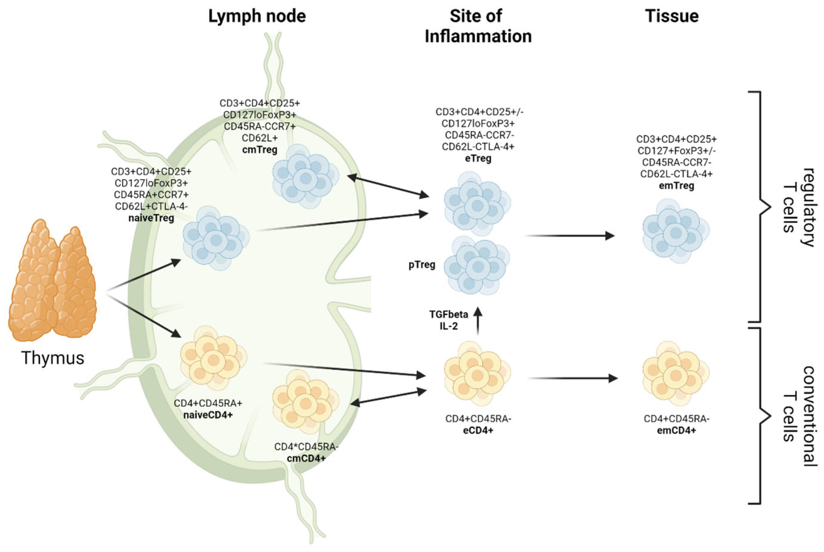 Ijms 24 01752 g001 Ijms 24 01752 g001